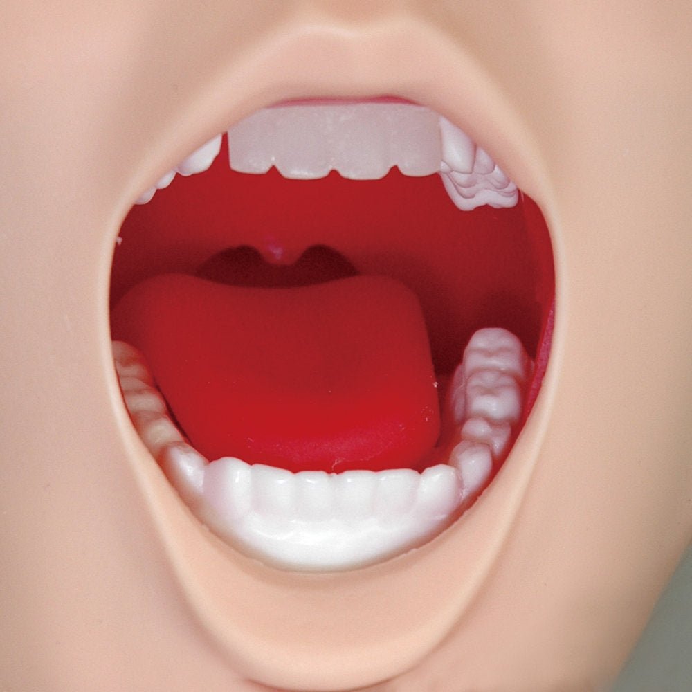 Difficult Airway Management Simulator - High-Fidelity Medical Training Model for Anesthesia & Emergency Practice - Perfect for Hospitals, Medical Schools & Residency Programs