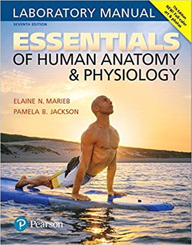 Essentials of Human Anatomy & Physiology Laboratory Manual 7th Edition Spiral-Bound by Elaine N. Marieb & Pamela B. Jackson - Pearson | Perfect for Medical Students & Nursing School Labs