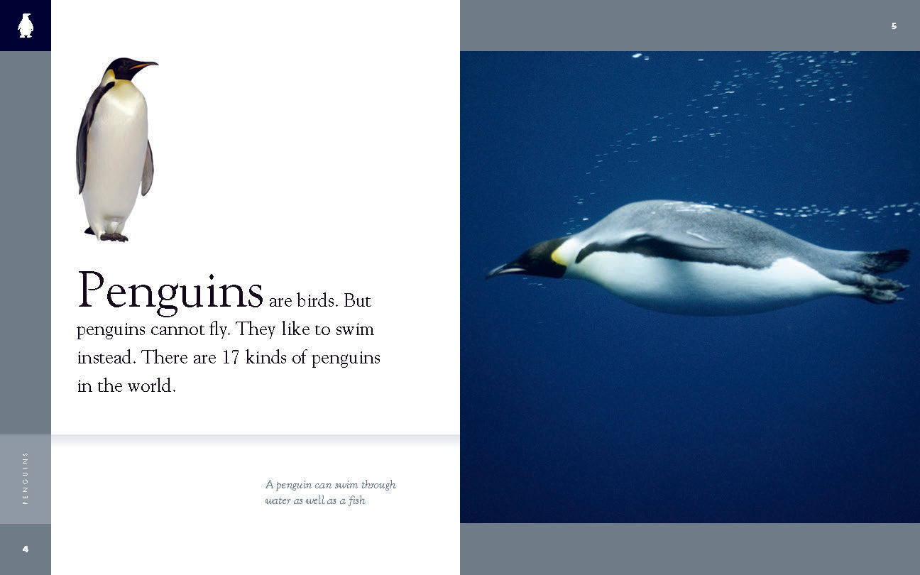 Amazing Animals (2014): Penguins - Educational Wildlife Documentary for Kids & Families | Perfect for Classroom Learning & Nature Enthusiasts