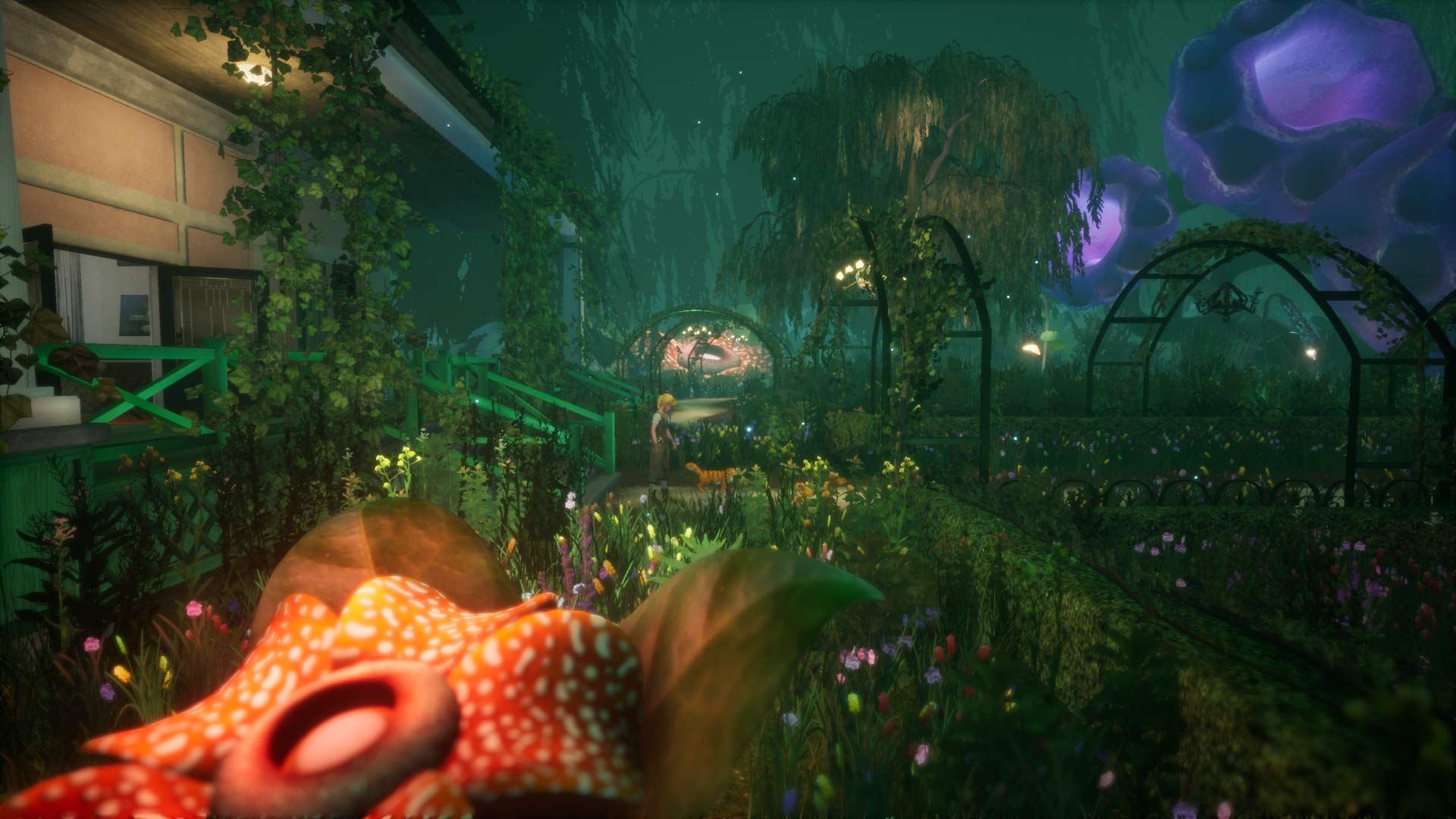 Another Sight - Adventure Puzzle Game for Nintendo Switch | Explore Magical Worlds & Solve Mysteries | Perfect for Family & Solo Gaming