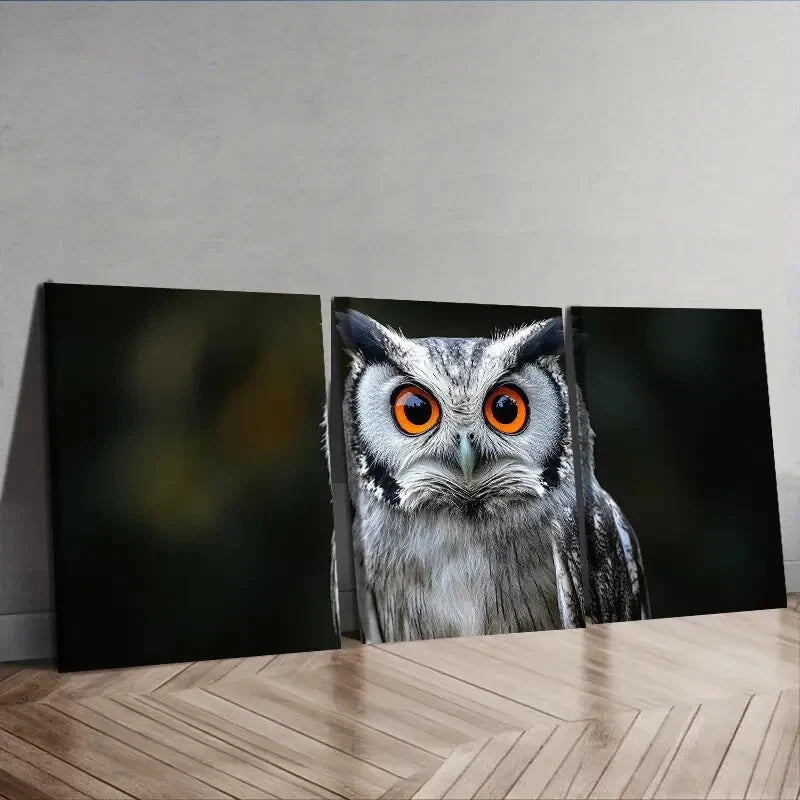 3-Piece Owl Wall Art Set - Orange Eyes Canvas Framed Print 40x60cm - High Quality Australian Made Ready-to-Hang Decor for Living Room, Bedroom & Office