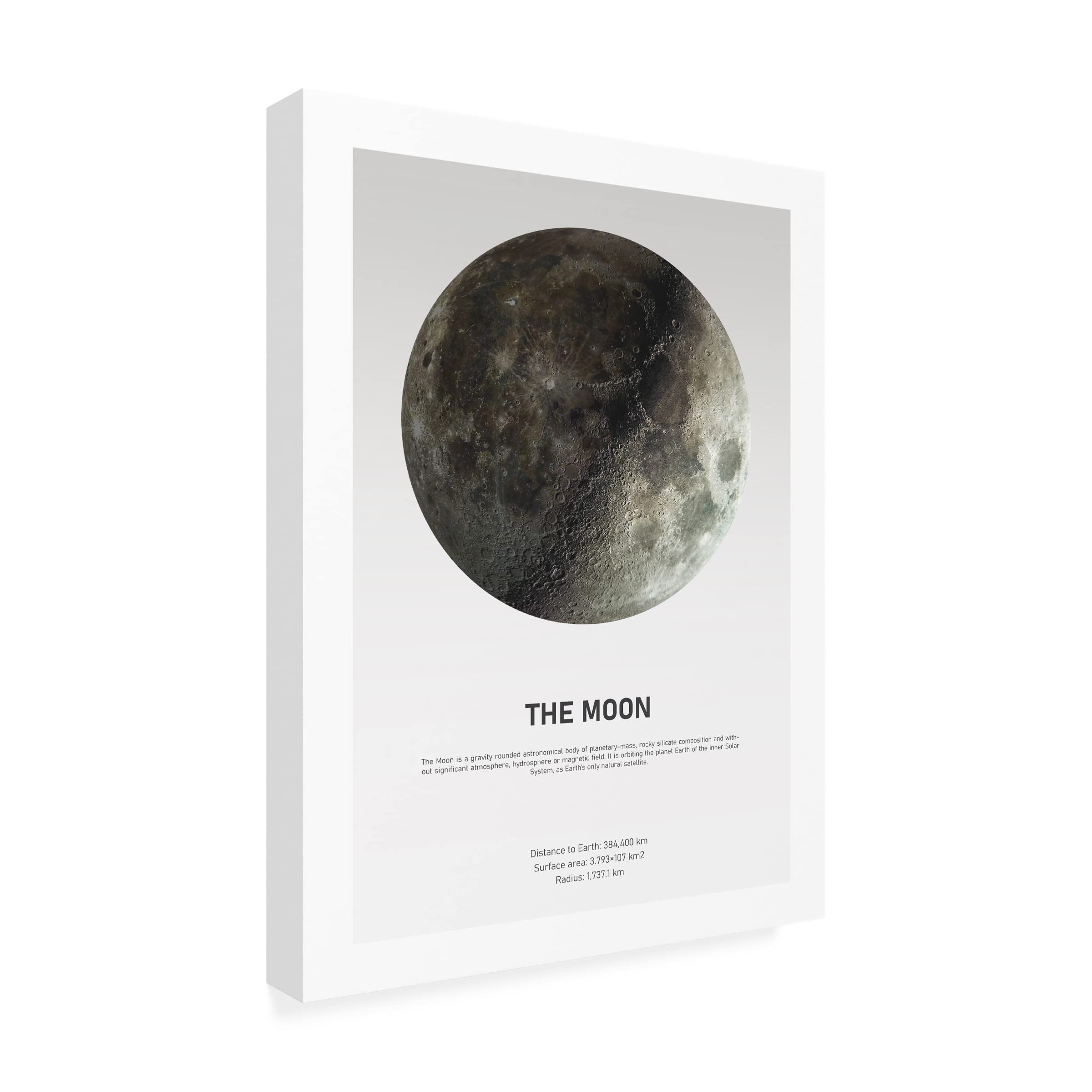 Trademark Fine Art 'Moon Light' Canvas Wall Art by Design Fabrikken - Modern Home Decor for Living Room, Bedroom & Office