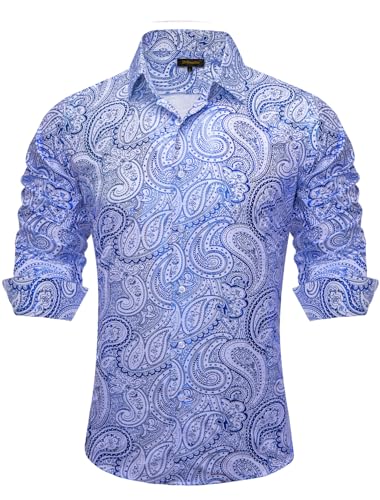 Blue and Silver