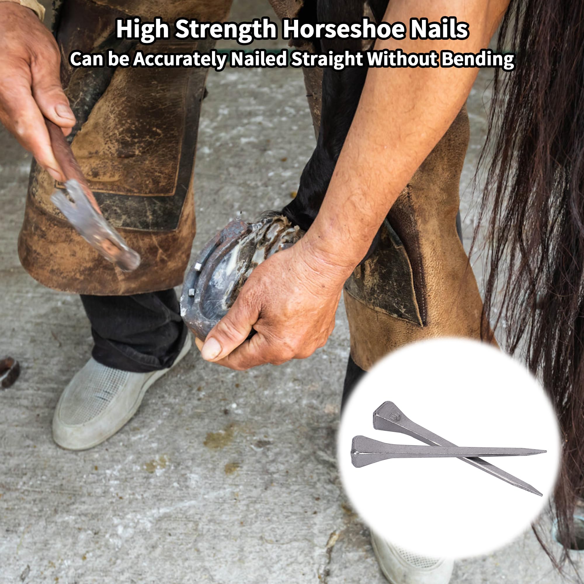 250pcs E5 Horseshoe Nails 2 Inch Stainless Steel - Rustproof Horse Shoe Nails for Stained Glass Art, DIY Crafts, Equestrian Training & Horse Care - Perfect for Blacksmithing, Farrier Work and Equestrian Sports Accessories