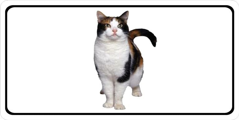 Custom Calico Cat Photo License Plate - Personalized Pet Car Tag - Perfect for Cat Lovers & Unique Vehicle Accessories