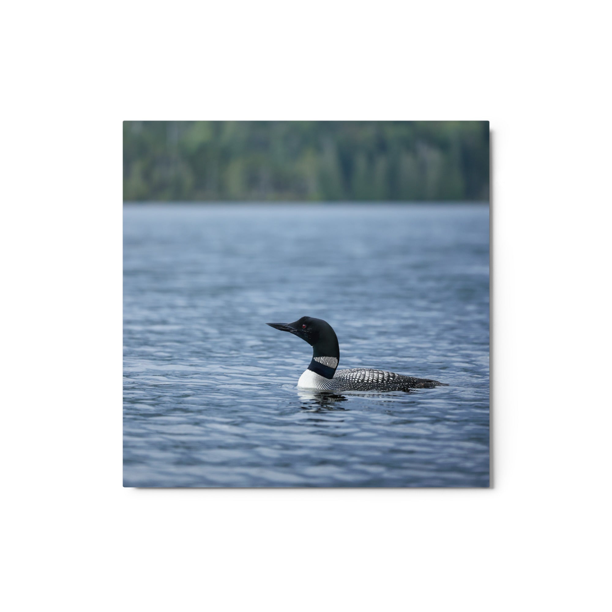 Adirondack Loon Metal Wall Art Print - Premium Aluminum Decor for Living Room, Bedroom & Office - Nature Inspired Home Decor