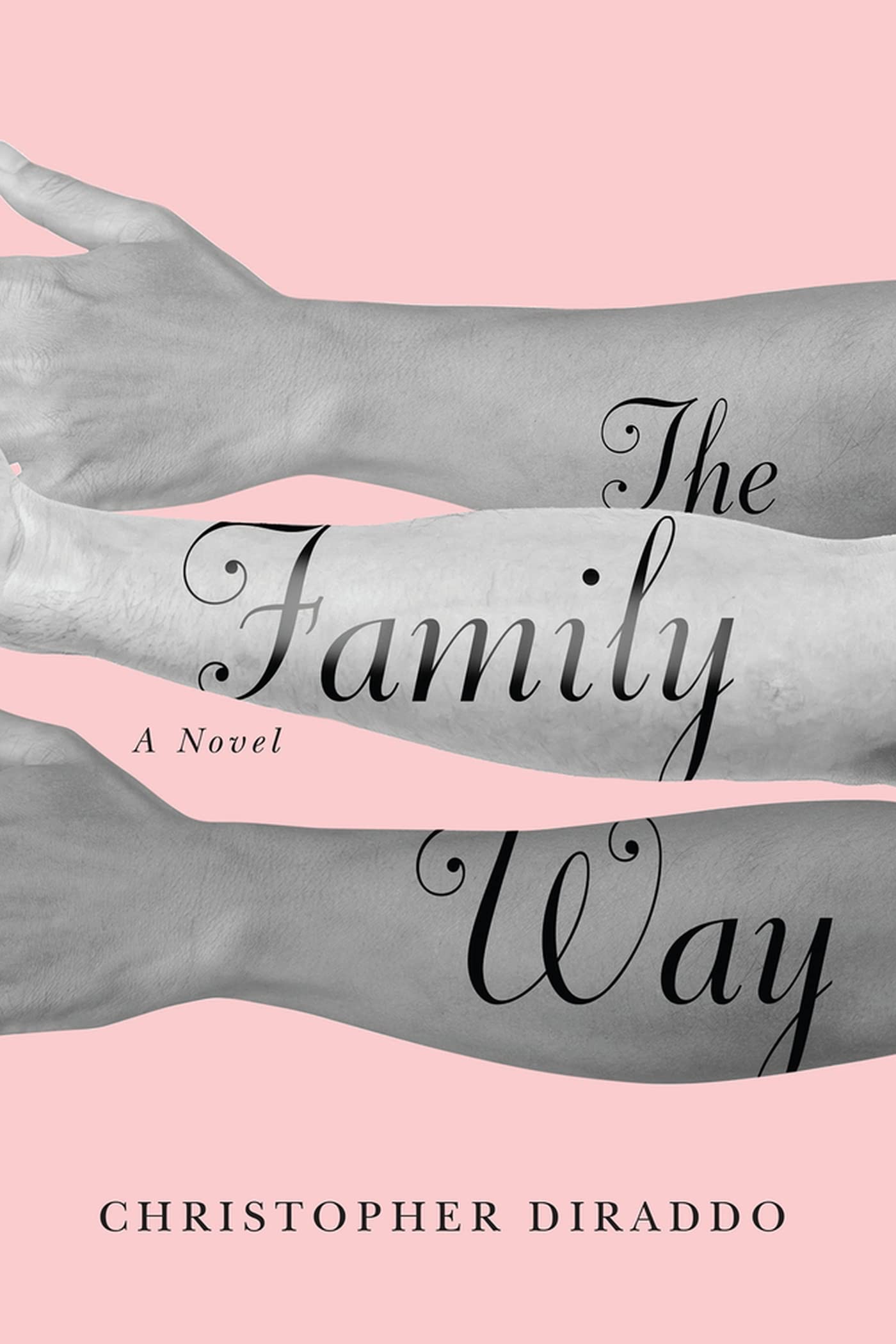 The Family Way Novel - Heartwarming Fiction Book for Parents & Couples - Perfect for Family Reading & Book Clubs