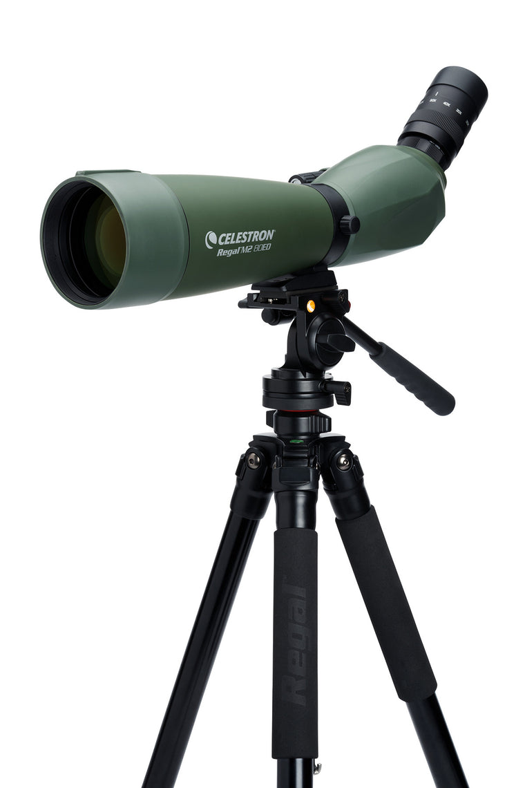 Celestron Regal M2 20-60x80mm ED Angled Spotting Scope with Zoom - High Performance for Bird Watching, Hunting & Target Shooting