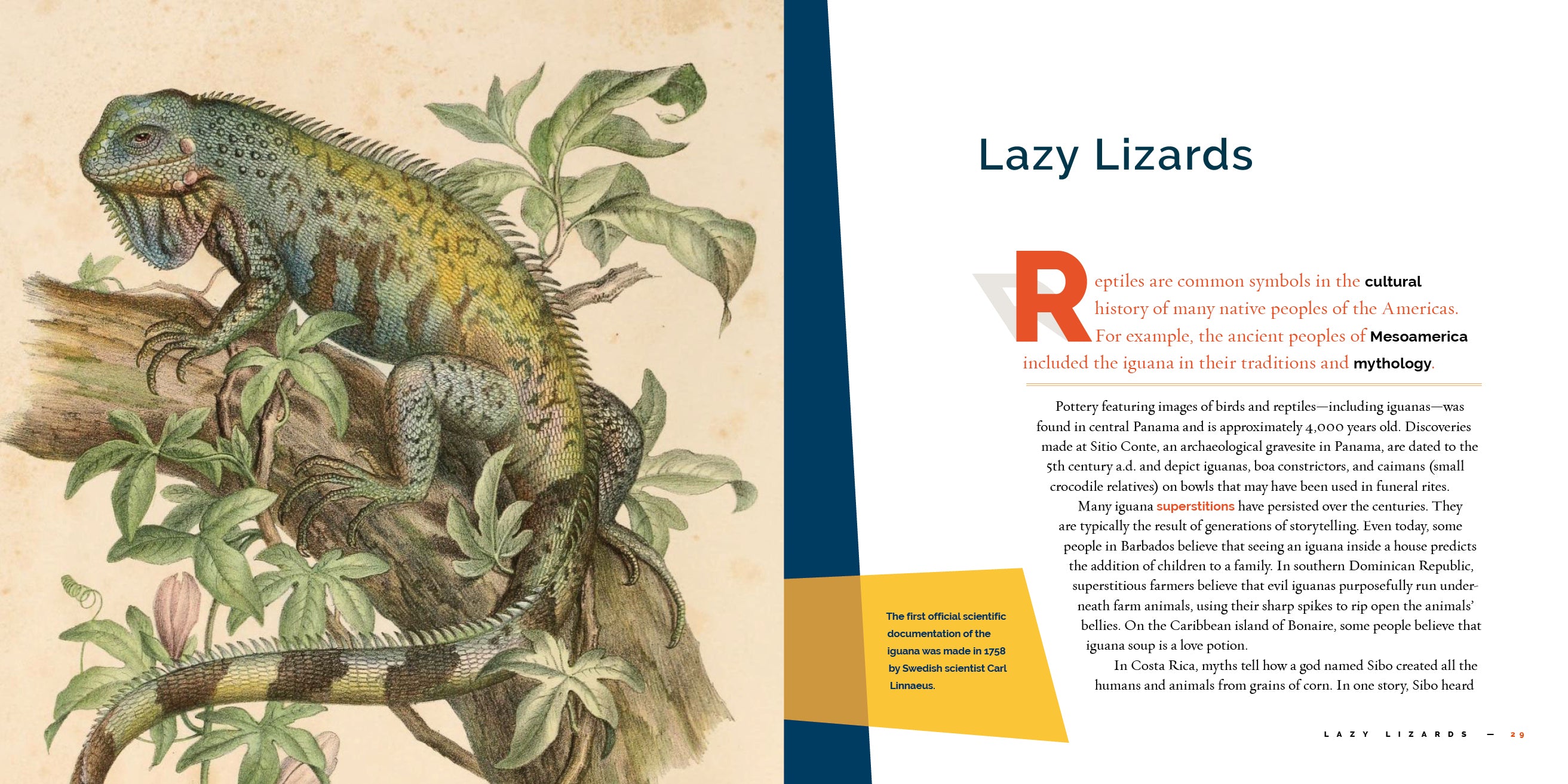 Iguanas - 9781640267886 - Reptile Pet Care Book for Iguana Owners - Perfect for Home & Classroom Learning
