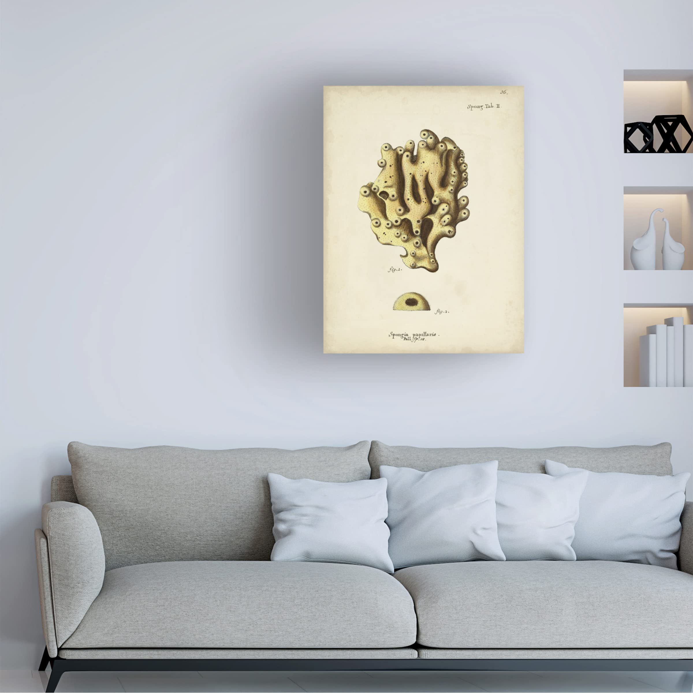 Trademark Fine Art 'Ecru Coral X' Canvas Wall Art Painting by Johann Esper - Modern Abstract Home Decor for Living Room, Bedroom & Office
