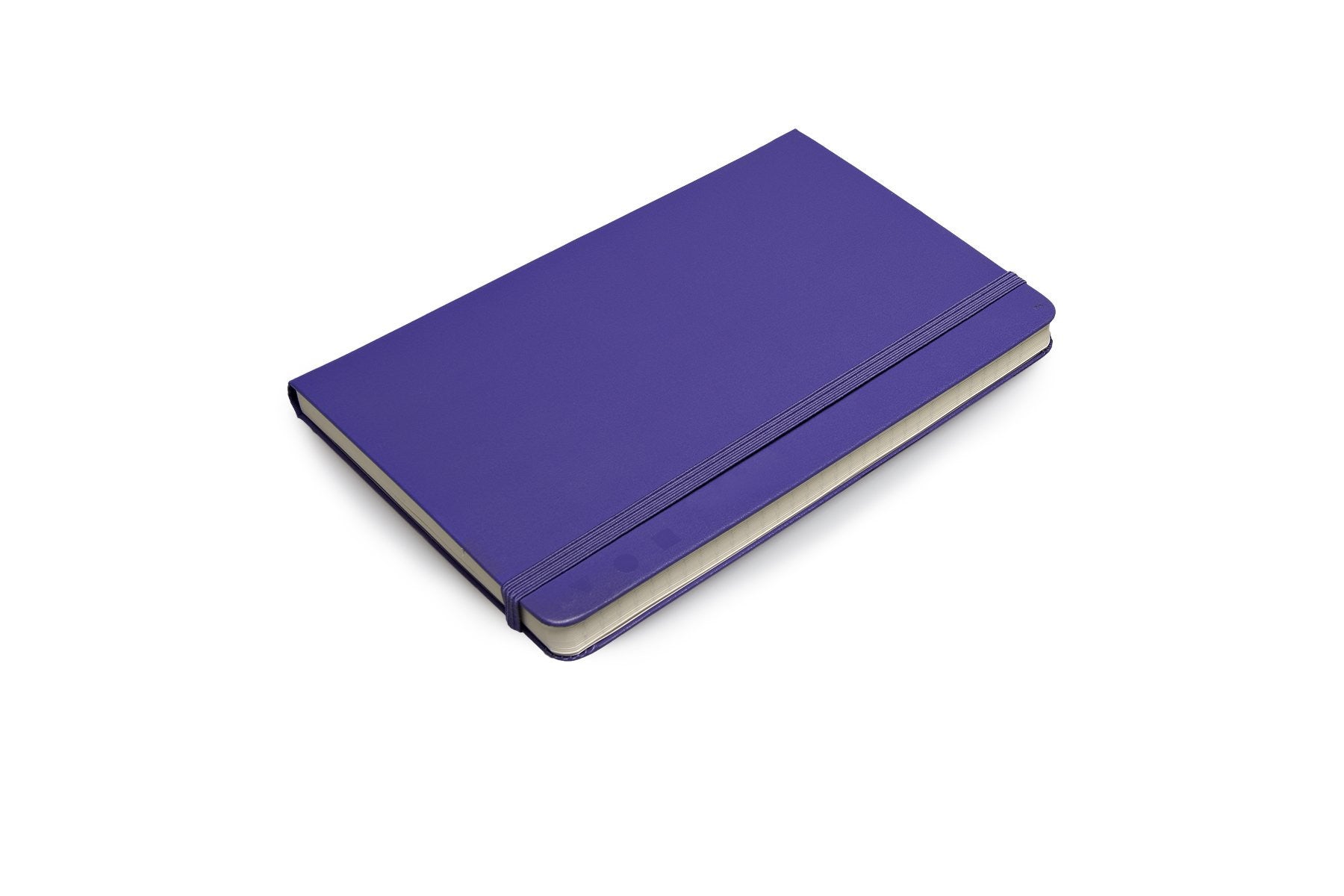 Premium Moleskine Folio Professional Notebook - Large Size (8.5