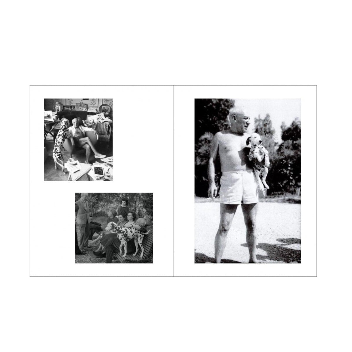 Picasso and His Dogs: Art Book for Coffee Tables - Perfect for Art Lovers & Home Decor