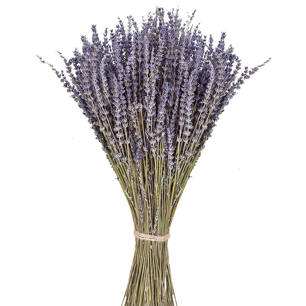 100% Natural Dried Lavender Bundles - 15.7 Inch Blue Purple Home Decor for Wedding, Office, Table Centerpiece, Kitchen & Bathroom Aromatherapy | Perfect for Relaxation, Gifts & DIY Crafts