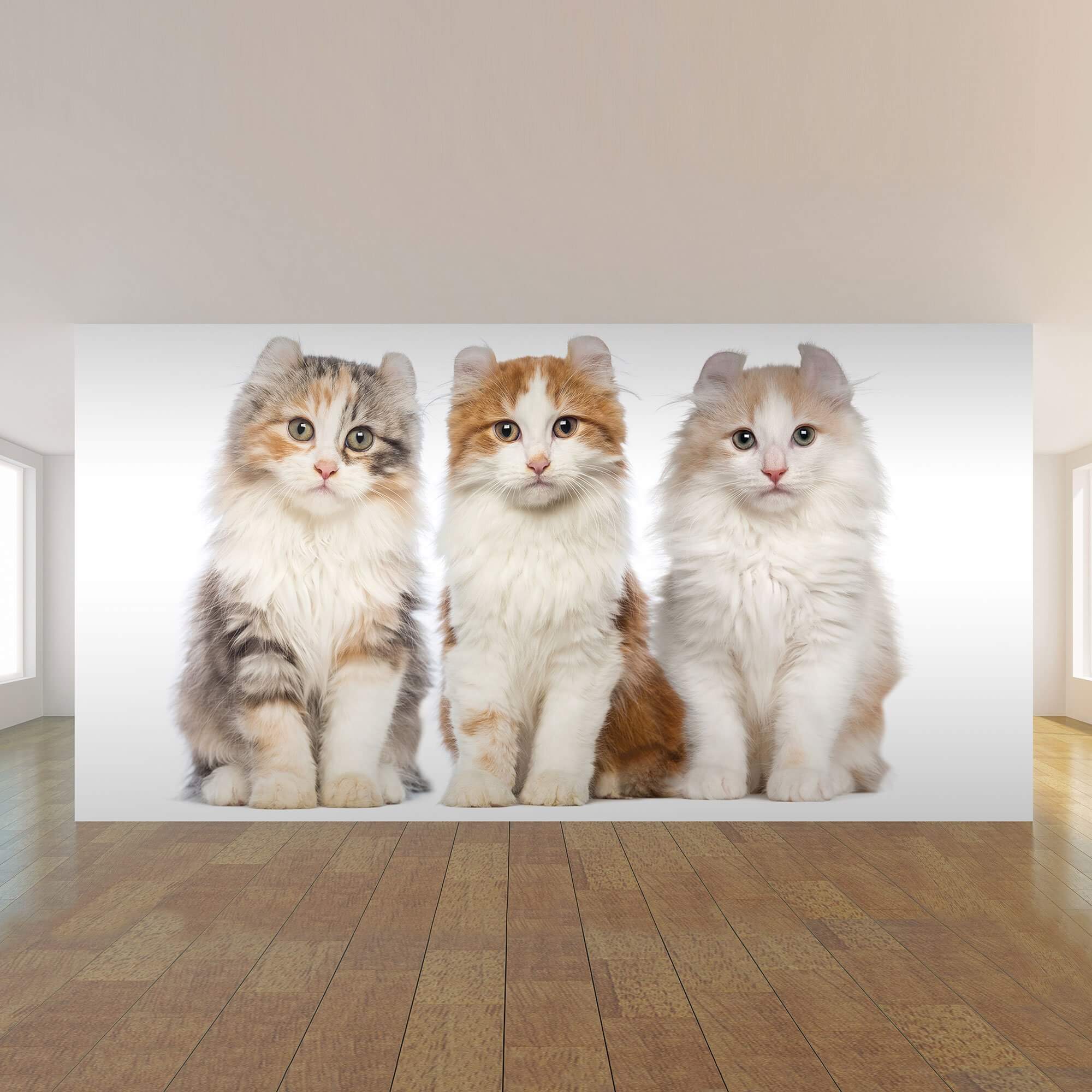 Green and Yellow Cats Peel and Stick Removable Wall Mural 5045 - Self-Adhesive Wall Decal for Kids Room, Nursery, Playroom Decor