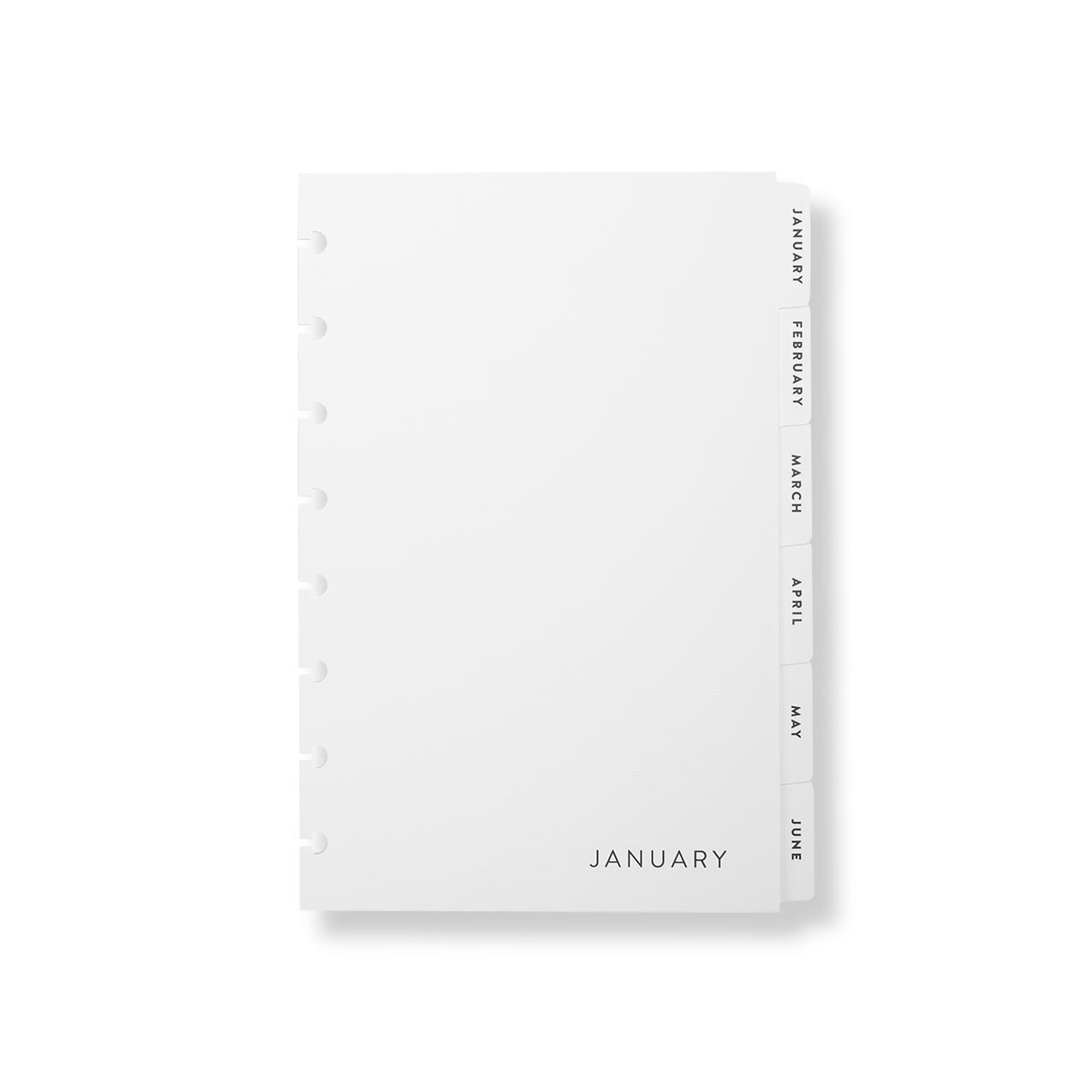 Circa Contemporary Monthly Tab Dividers - Set of 12 Index Tabs for Organizers, Planners, and Binders | Perfect for Office, School, and Home Organization