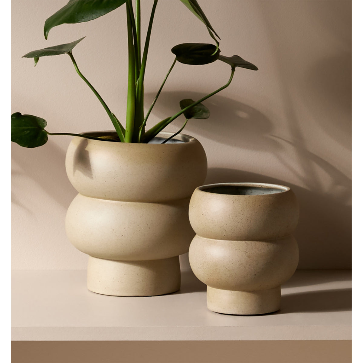 Middle Of Nowhere Billie Planter - Modern Ceramic Flower Pot for Indoor Plants, Succulents & Home Decor | Perfect for Living Room, Office Desk & Gift Giving