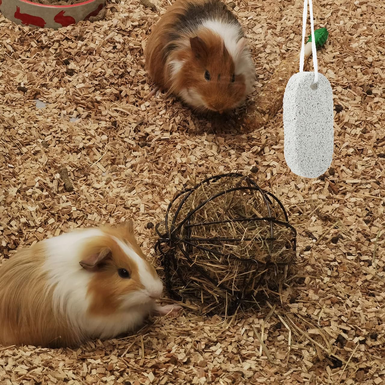 5pcs Natural Wooden Rabbit Chew Toys for Small Pets - Hamster Teeth Grinding Stone, Guinea Pig Chews, Bunny Toys for Bunnies - Perfect for Cage Enrichment and Dental Health