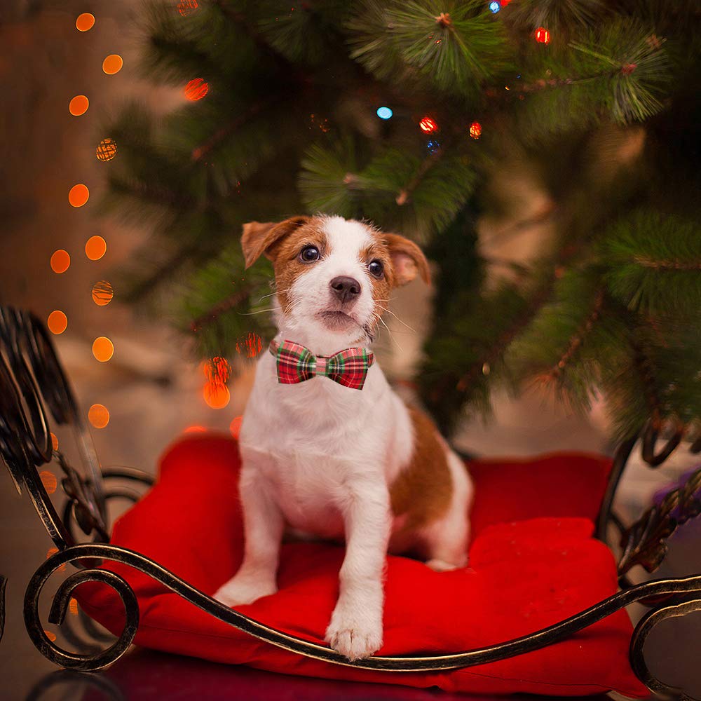 Elegant Bow Dog Collar with Adjustable Bowtie - Comfortable Pet Collar for Small, Medium & Large Dogs & Cats - Perfect for Weddings, Parties & Special Occasions