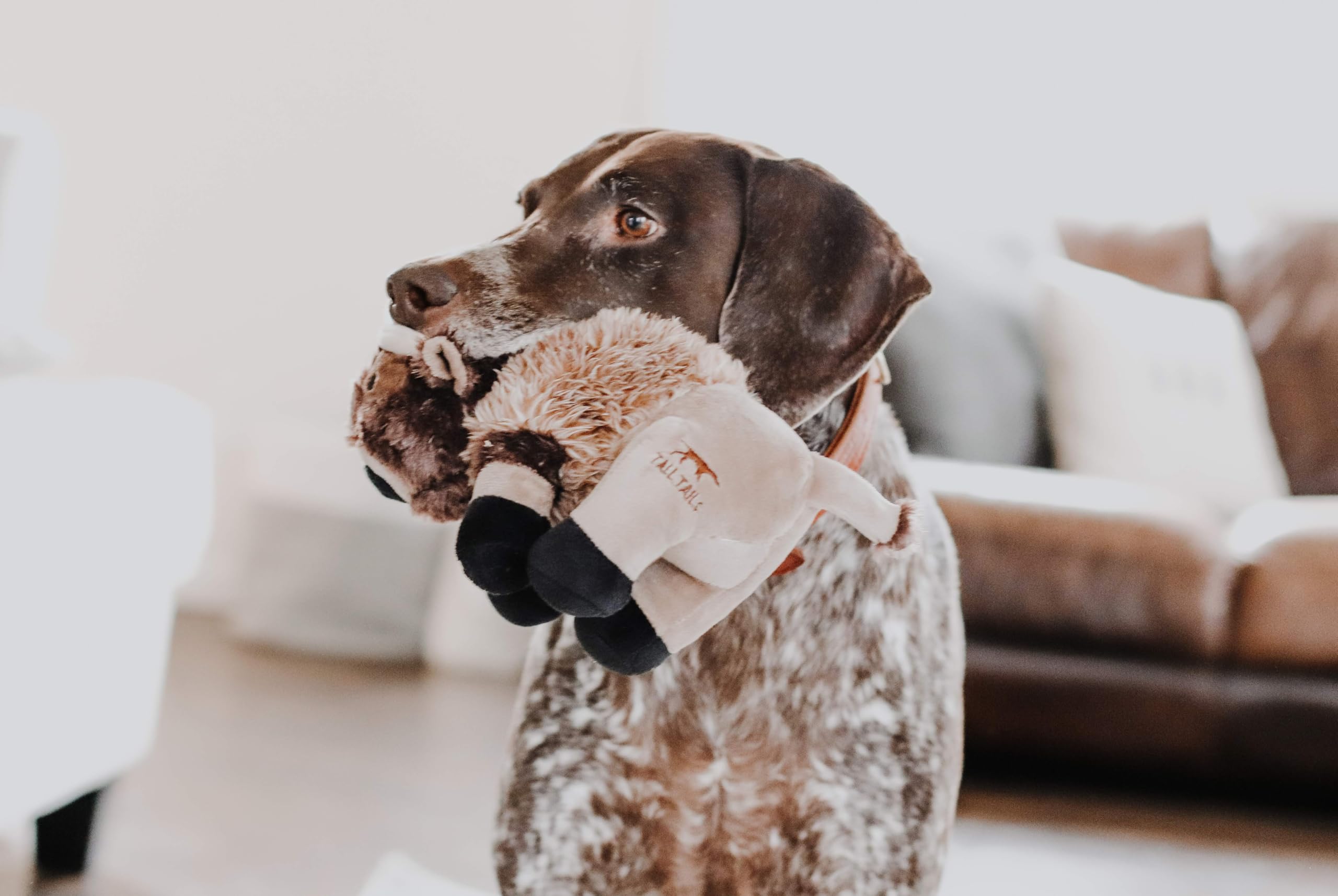 Tall Tails Buffalo Squeaky Dog Toy - Durable Chew Toy for Large & Small Dogs - Perfect for Playtime, Training & Interactive Fun