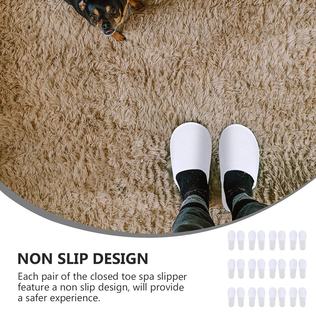 Lurrose 12 Pairs Disposable Closed Toe Hotel Slippers - Soft Coral Fleece Non-Slip Spa Slippers for Guests, Travel, Nail Salons & Home Use | Comfortable & Hygienic Footwear for Hotels, Spas & Relaxation
