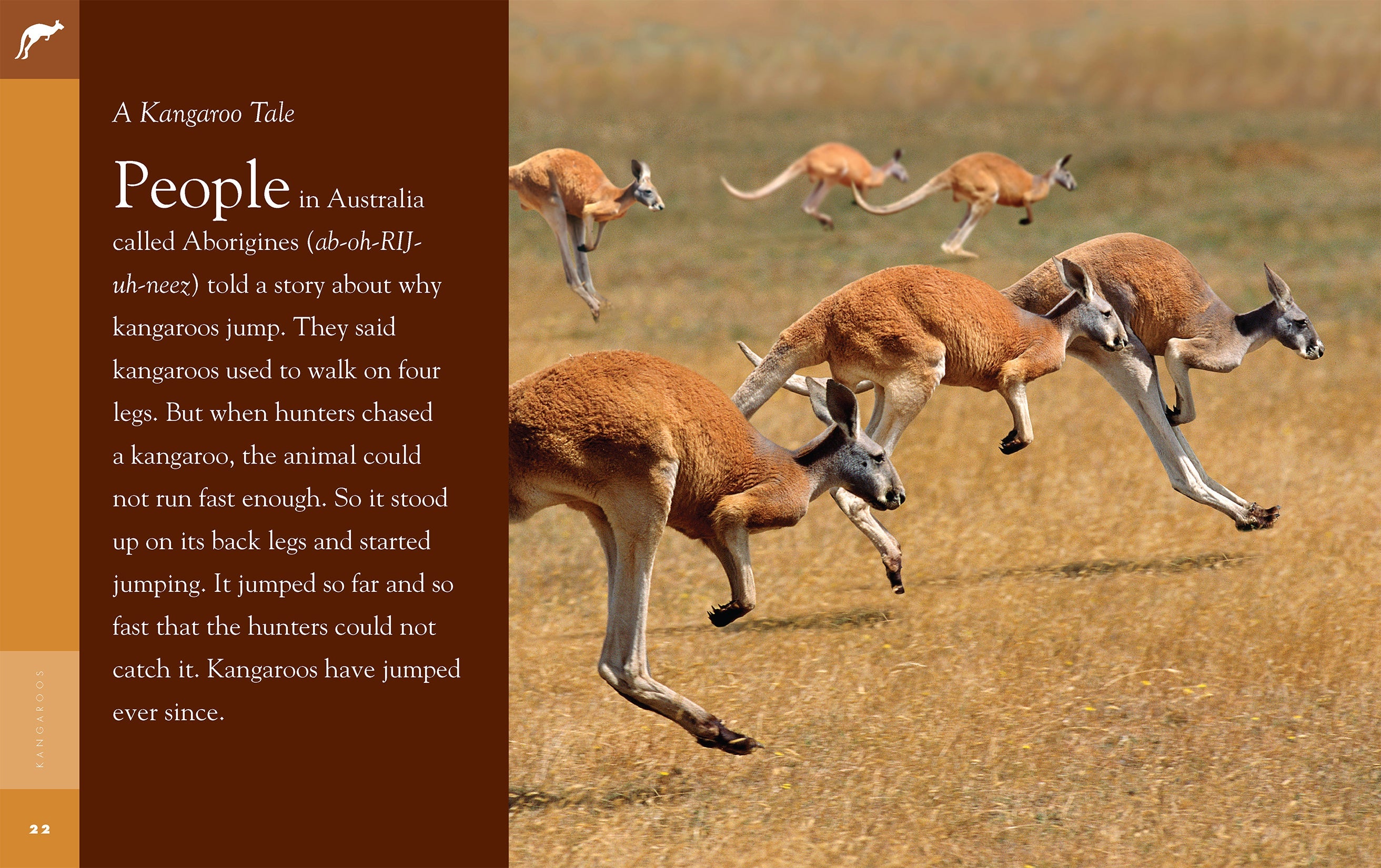 Amazing Animals (2014): Kangaroos - Educational Wildlife Documentary | Learn About Kangaroo Habitats, Behavior & Conservation | Perfect for Nature Lovers, Students & Classroom Learning