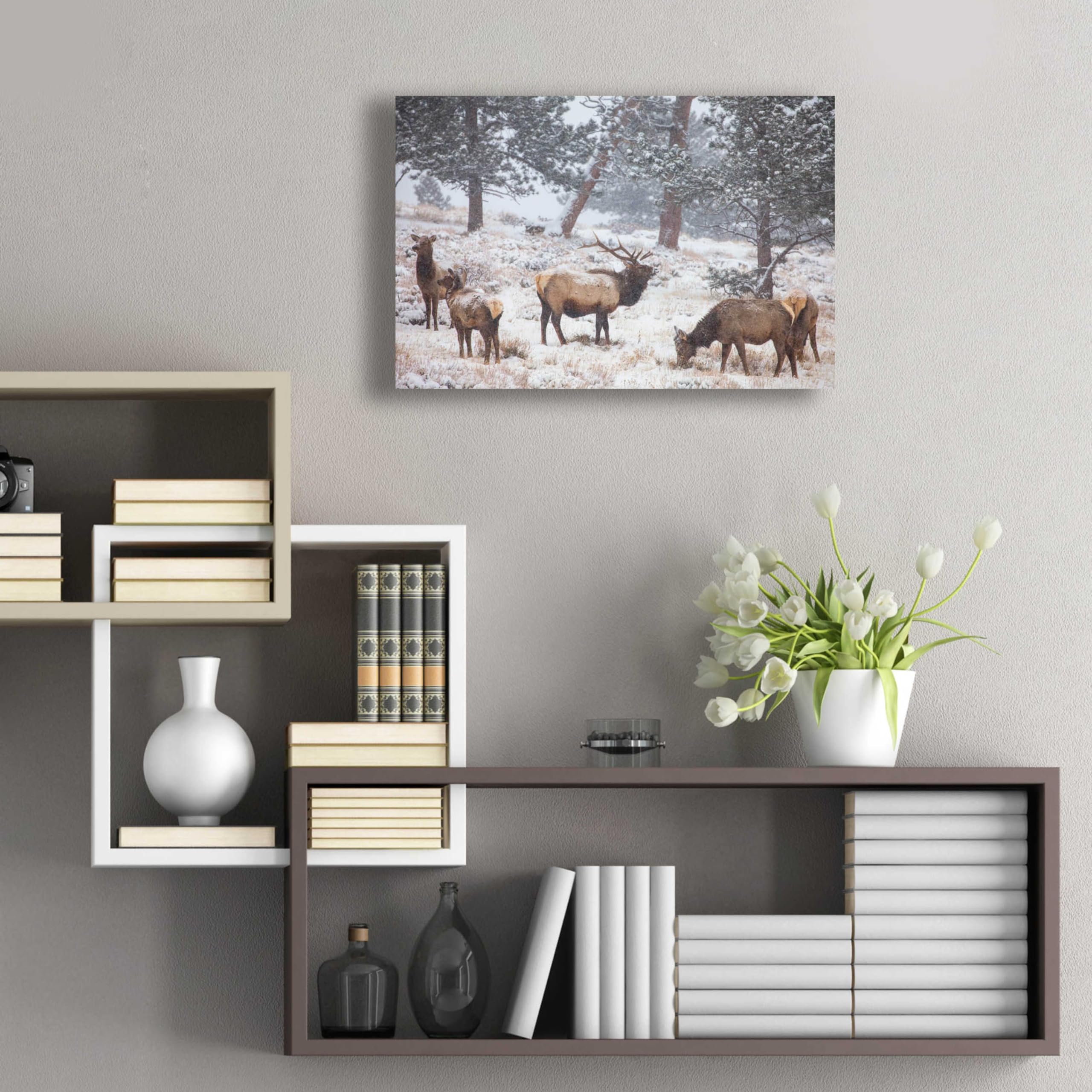 Darren White 'Family Man - Rocky Mountain National Park' Acrylic Glass Wall Art Print 24x16 Inches - Perfect for Living Room, Bedroom & Office Decor