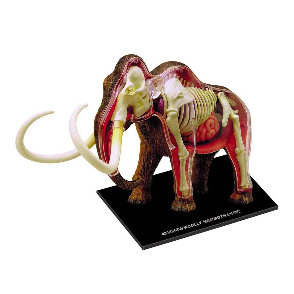 4D Master Wooly Mammoth Anatomy Model - Educational STEM Science Kit for Kids & Adults - Perfect for Classroom Learning, Home Schooling & Paleontology Enthusiasts