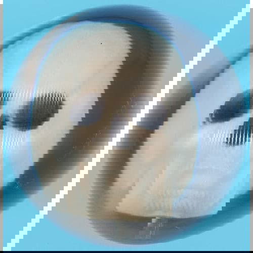 Premium Ebonite Clear Skull Bowling Ball 14.3 lbs - High Performance for Strikes & Spares - Perfect for Pro Bowlers & League Play