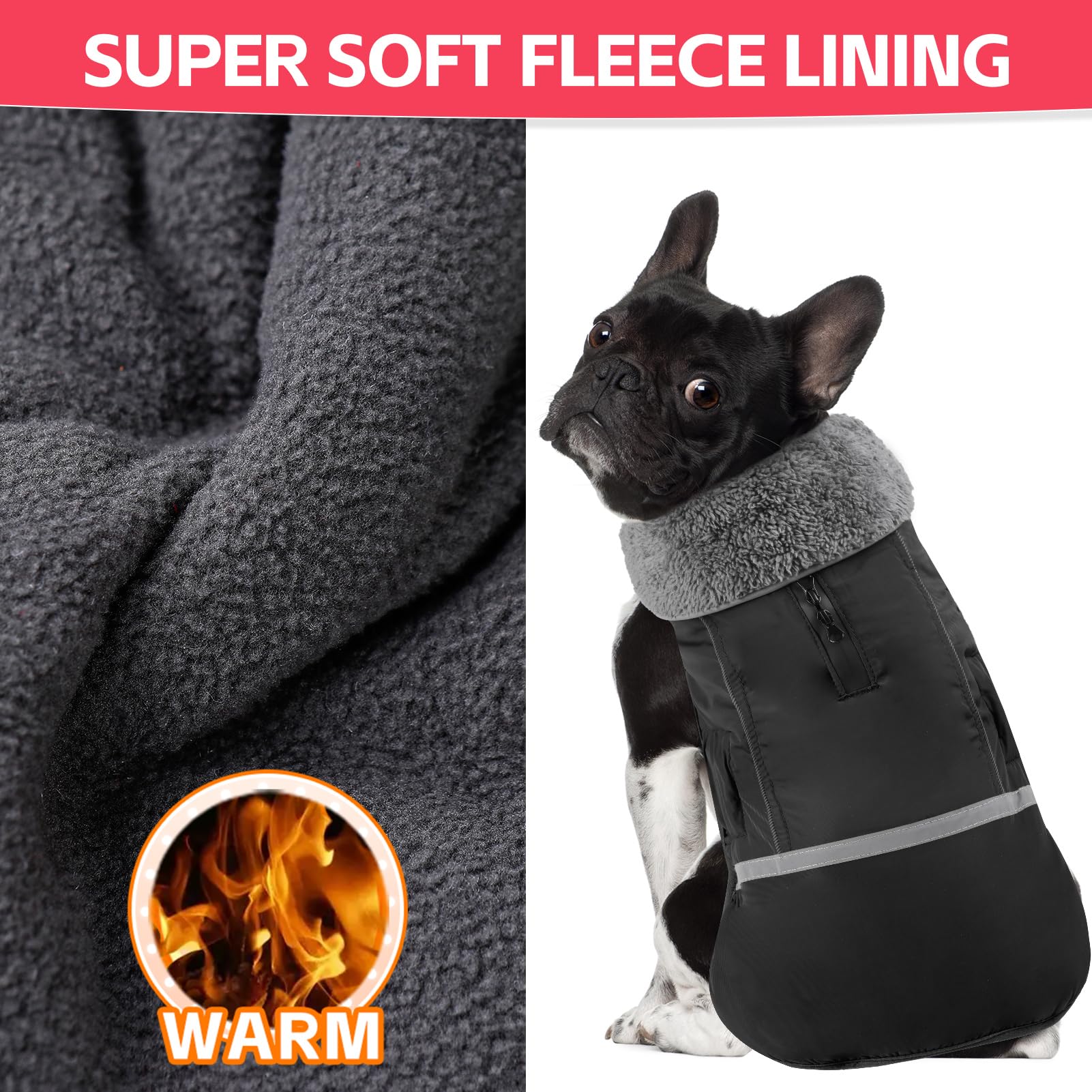 Doglay Waterproof Dog Winter Coat - Thick Fleece Lining & Reflective Design for Small Medium Large Dogs | Cold Weather Protection for Walking, Hiking & Outdoor Adventures