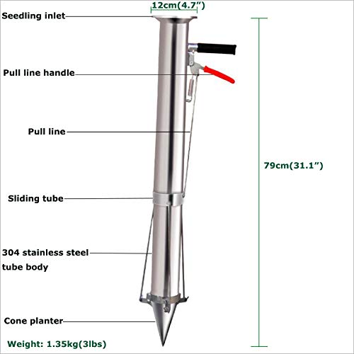 Stainless Steel Seedling Transplanting Bulb Planter Tool with Long Handle - Manual Vegetable & Young Plant Transplanter for Garden, Greenhouse - Perfect for Planting Flowers, Vegetables, and Seedlings in Raised Beds or Containers