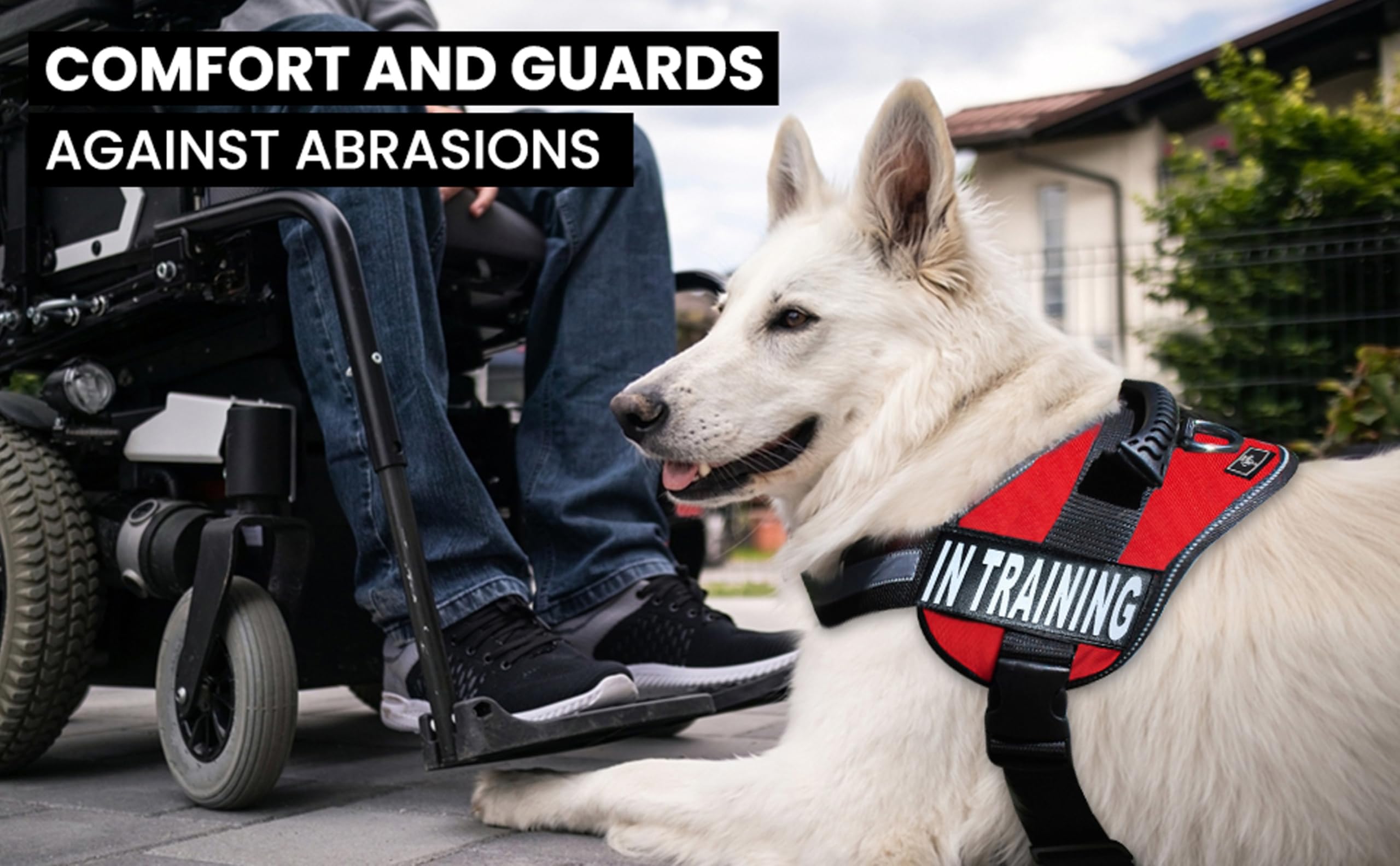 Service Dog Training Vest - Adjustable No-Pull Harness with Patches for Small, Medium & Large Dogs | Easy On/Off Design for Service Dog Training | Perfect for Public Access, Therapy Work & Obedience Classes