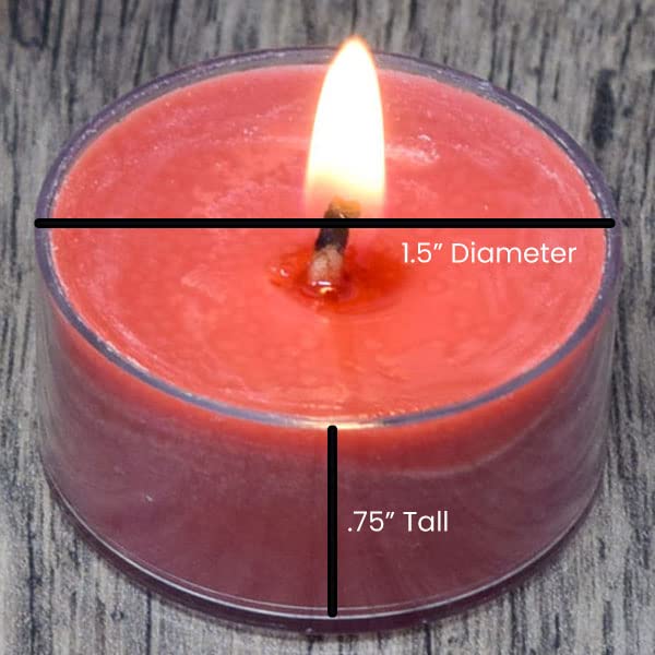 Winter Lodge Scented Tealight Candles - 12 Pack Soy Beeswax Blend Handmade in USA - Holiday Christmas Aromatherapy Candles for Home Decor, Relaxation & Gift Giving
