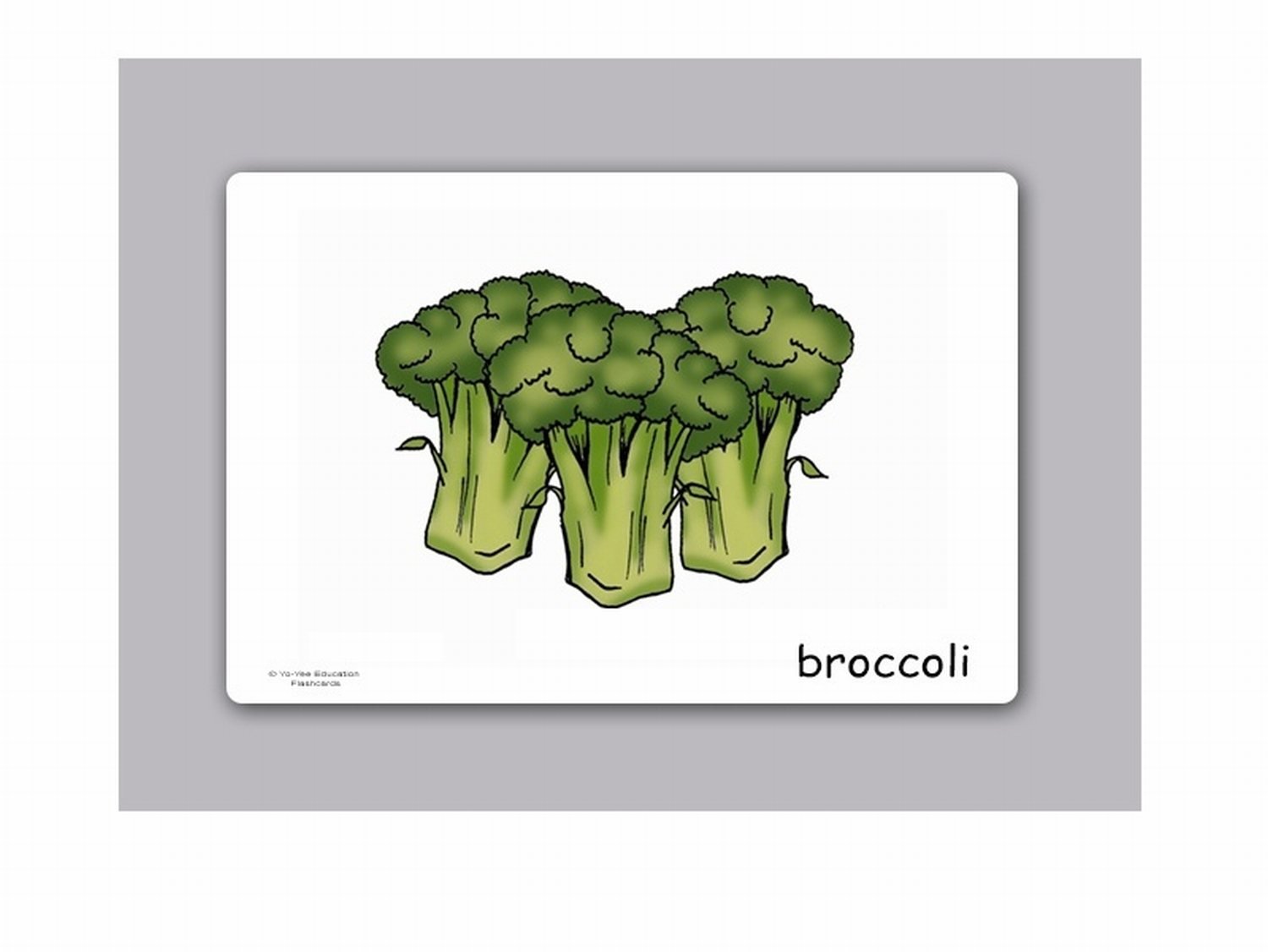 Vegetable Flash Cards with Matching Bingo Game - Educational Vocabulary Picture Cards for Babies, Toddlers & Kids | Perfect for Preschool Learning, Homeschooling & Family Game Night