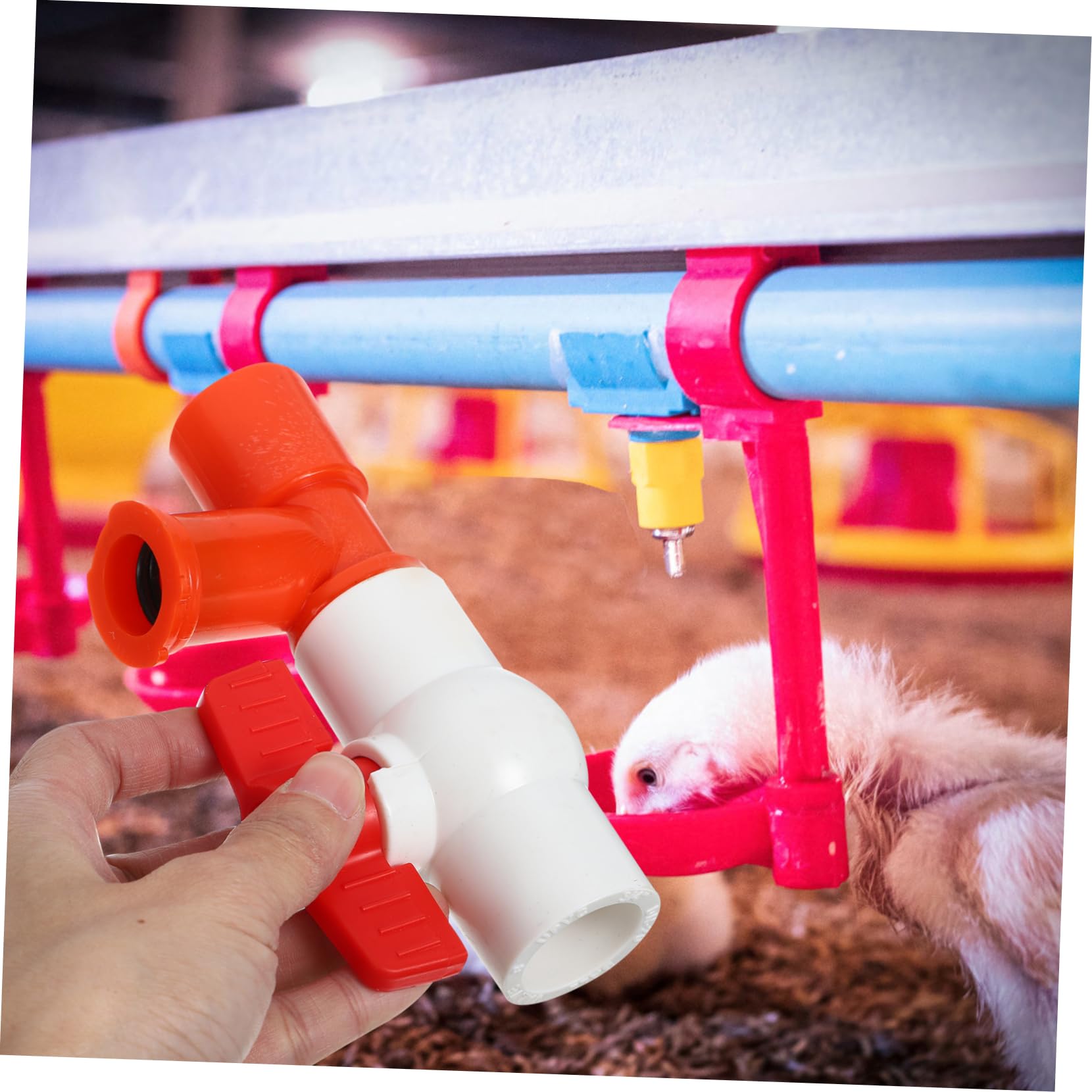KITANDOVE End Valve & Pressure Regulator with Water Level Display - Essential for Coop Farm Water Supply Systems in Poultry Farming