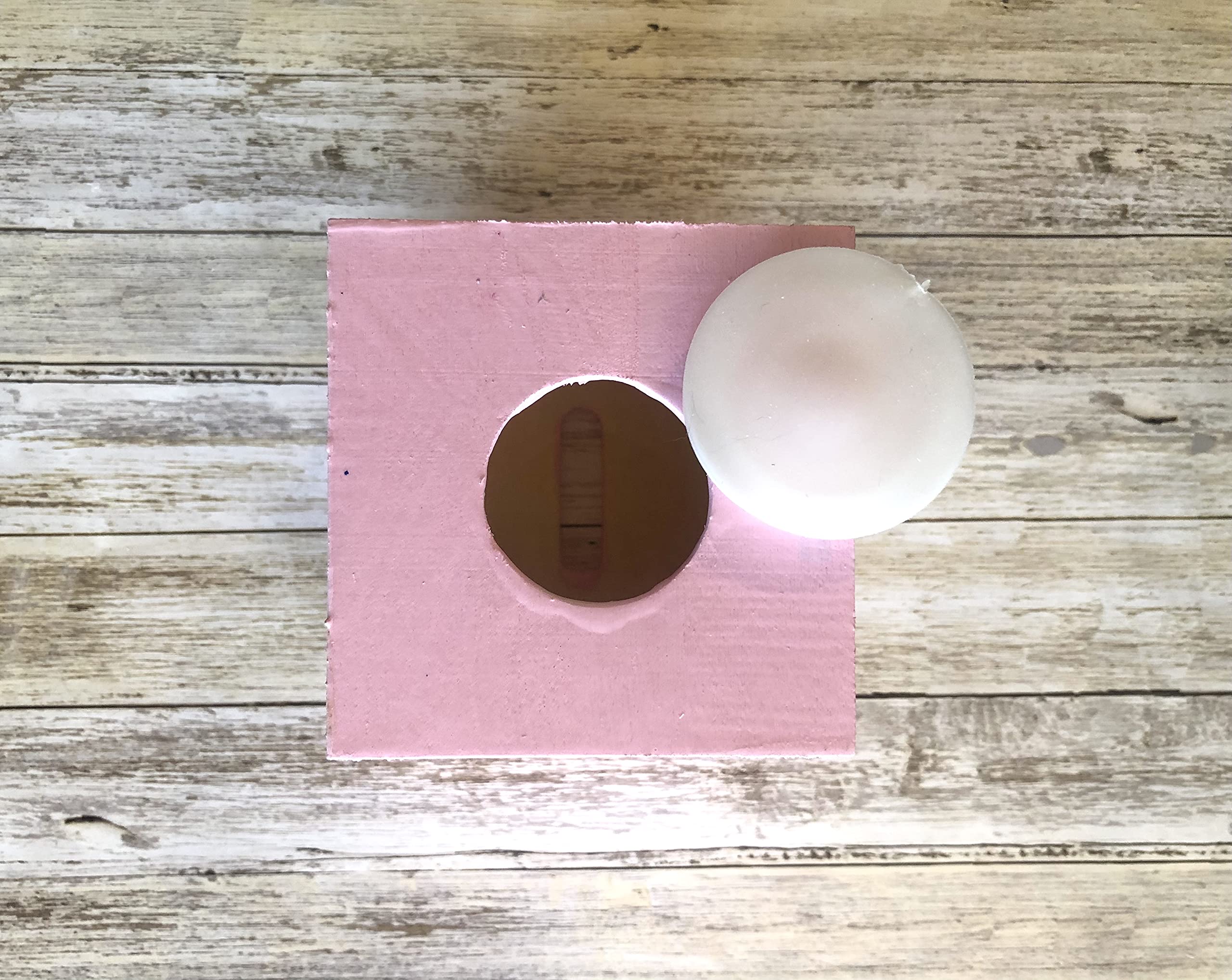 Pink Roses Tzedakah Box - Jewish Baby Naming & Hanukkah Gift for Home Decor