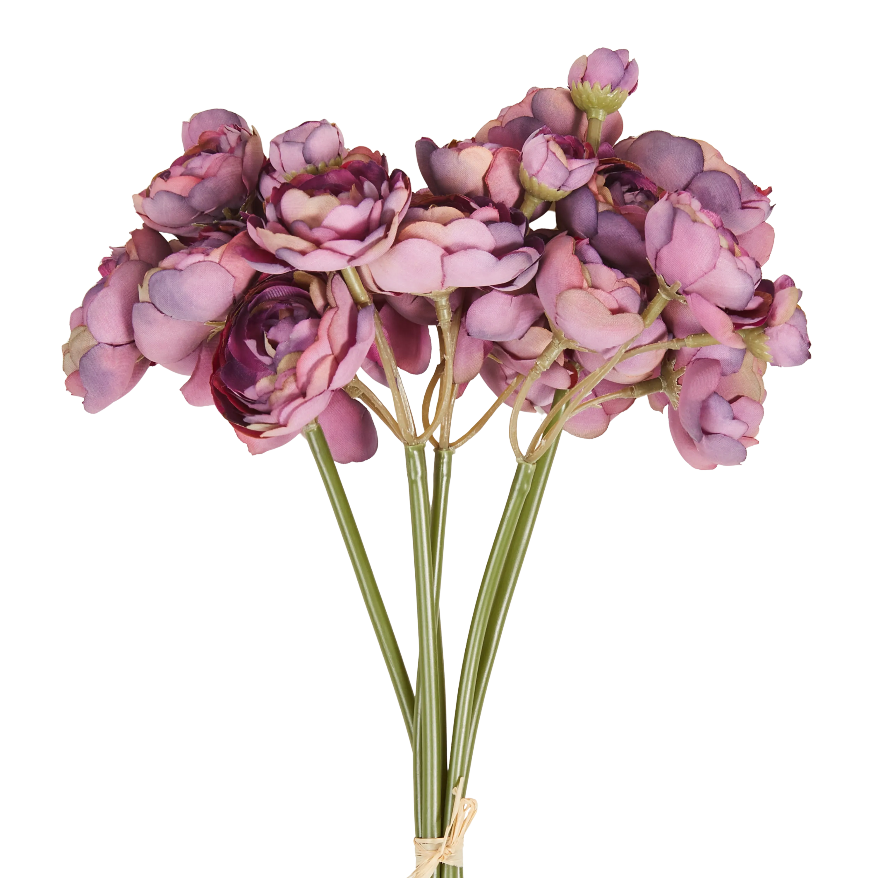 Fresh Ranunculus Flowers Bouquet - 10 Stems Bulk Wholesale for Wedding, Party, Home Decor & Floral Arrangements