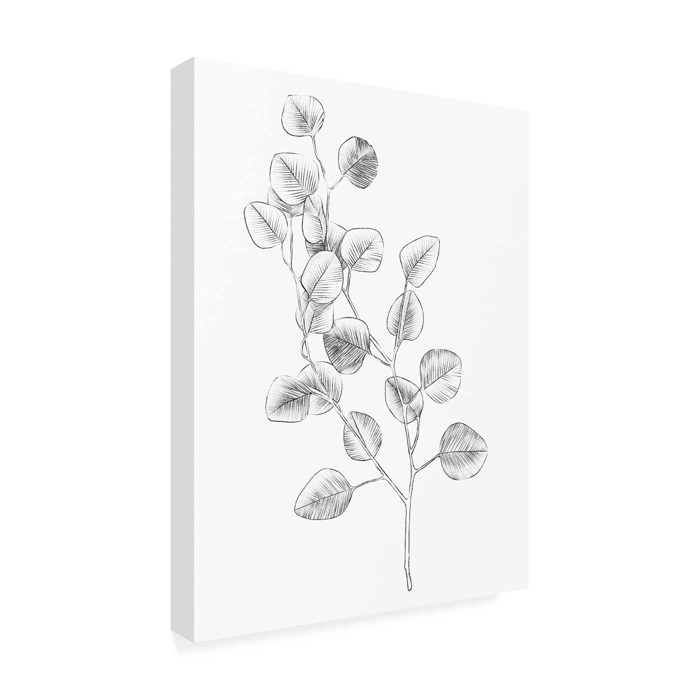 Emma Scarvey 'Eucalyptus Sketch IV' Canvas Wall Art Print - Modern Botanical Home Decor for Living Room, Bedroom & Office