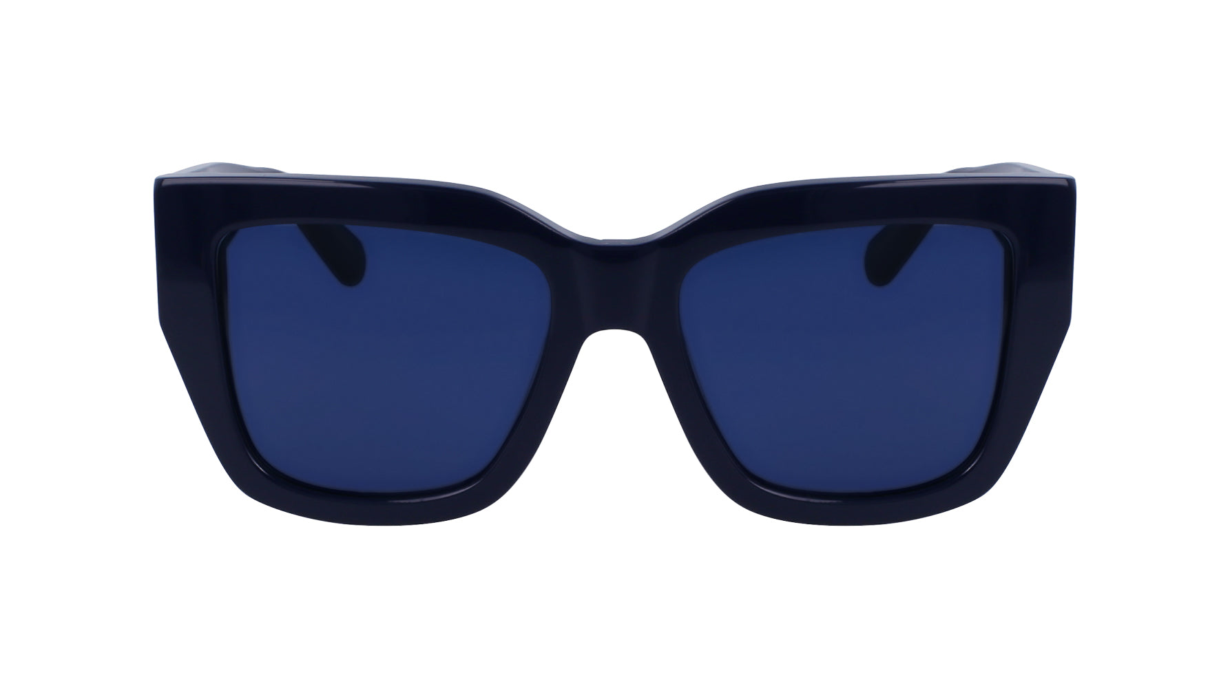 Ferragamo SF1104S Sunglasses for Women - Luxury Designer Shades with UV Protection - Perfect for Outdoor Activities, Travel, and Fashion Accessories
