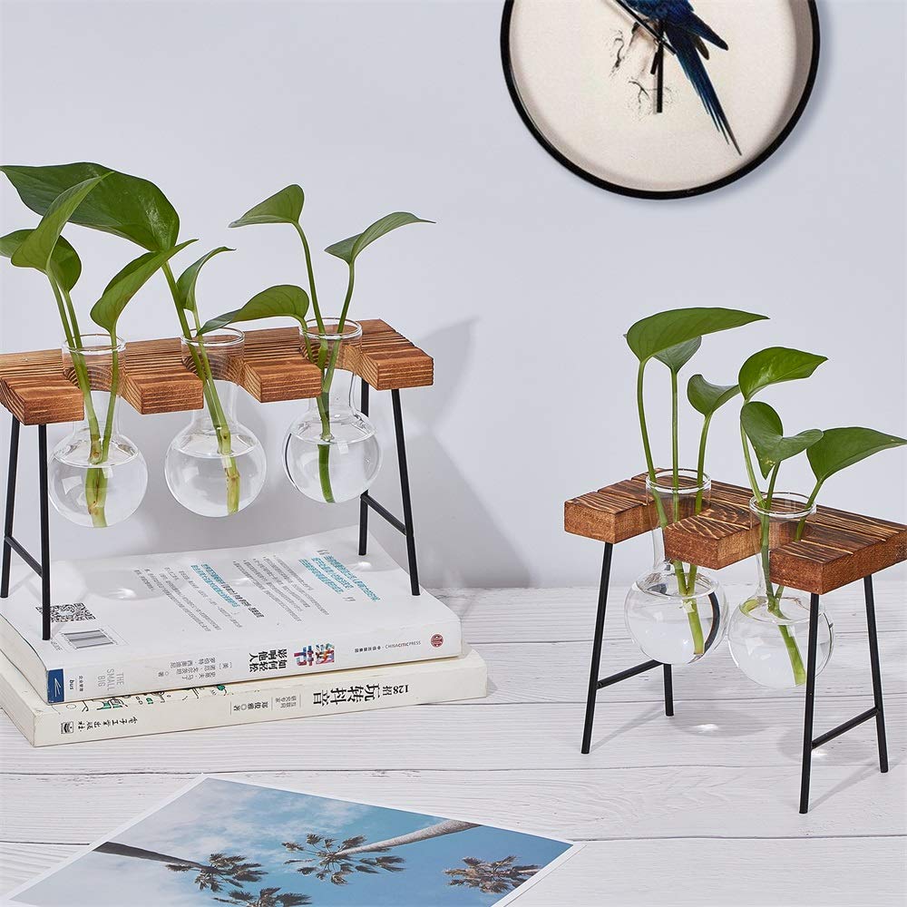 Air Plant Terrarium Glass with Wooden Stand - Small Desktop Hydroponics Vase for Succulents & Plants - Home Office Decor with 3 Bulbs - Perfect for Desk Decor, Gift Idea & Indoor Gardening