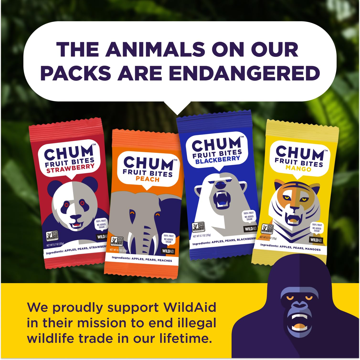 Chum Fruit Bites 100% Real Fruit Snacks – Strawberry Flavor, 12-Pack | Non-GMO, No Added Sugar, Preservatives-Free | Healthy Snacks for Kids & Adults | Nut-Free, Gluten-Free, Vegan, Kosher, Paleo Certified | Perfect for School Lunches, Office Snacks & On-the-Go Energy