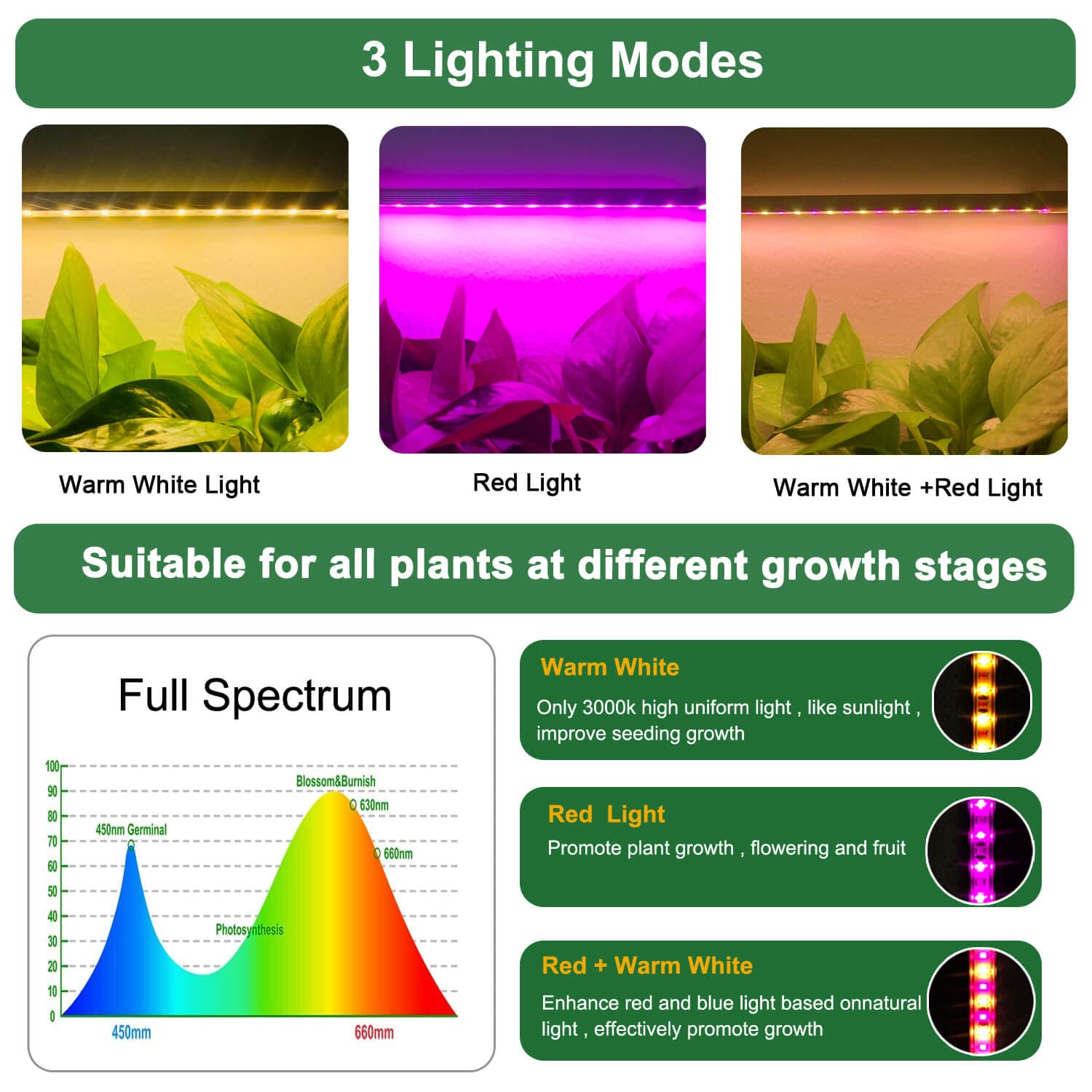 Replaceable LED Grow Light Strips for Indoor Plants - 1 Pack (No Power Adapter/Timer Included) - Perfect for Hydroponics, Greenhouses & Home Gardening