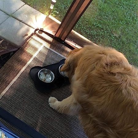 TERXA Non-Slip Pet Bowl Set - Stainless Steel Food & Water Dish for Dogs & Cats - Home & Travel Use