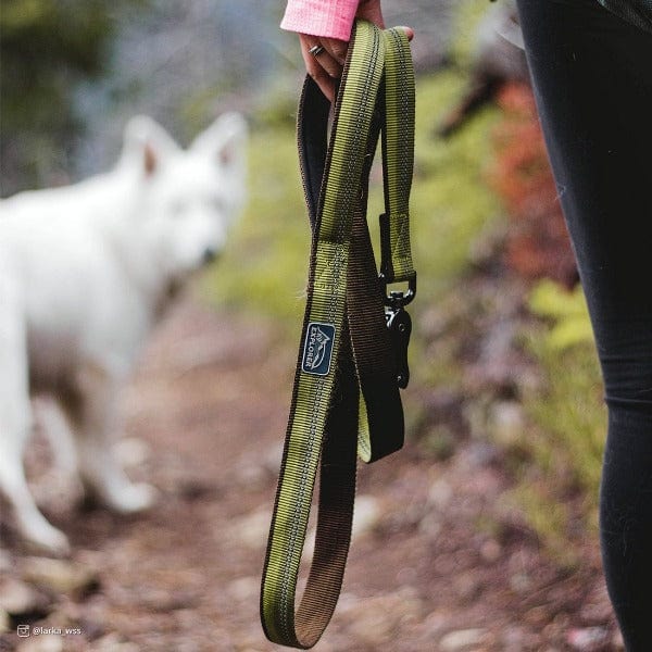 Durable Reflective Dog Leash with Scissor Snap - Strong Nylon Pet Leash for Medium & Large Dogs - Perfect for Night Walks, Jogging & Outdoor Adventures