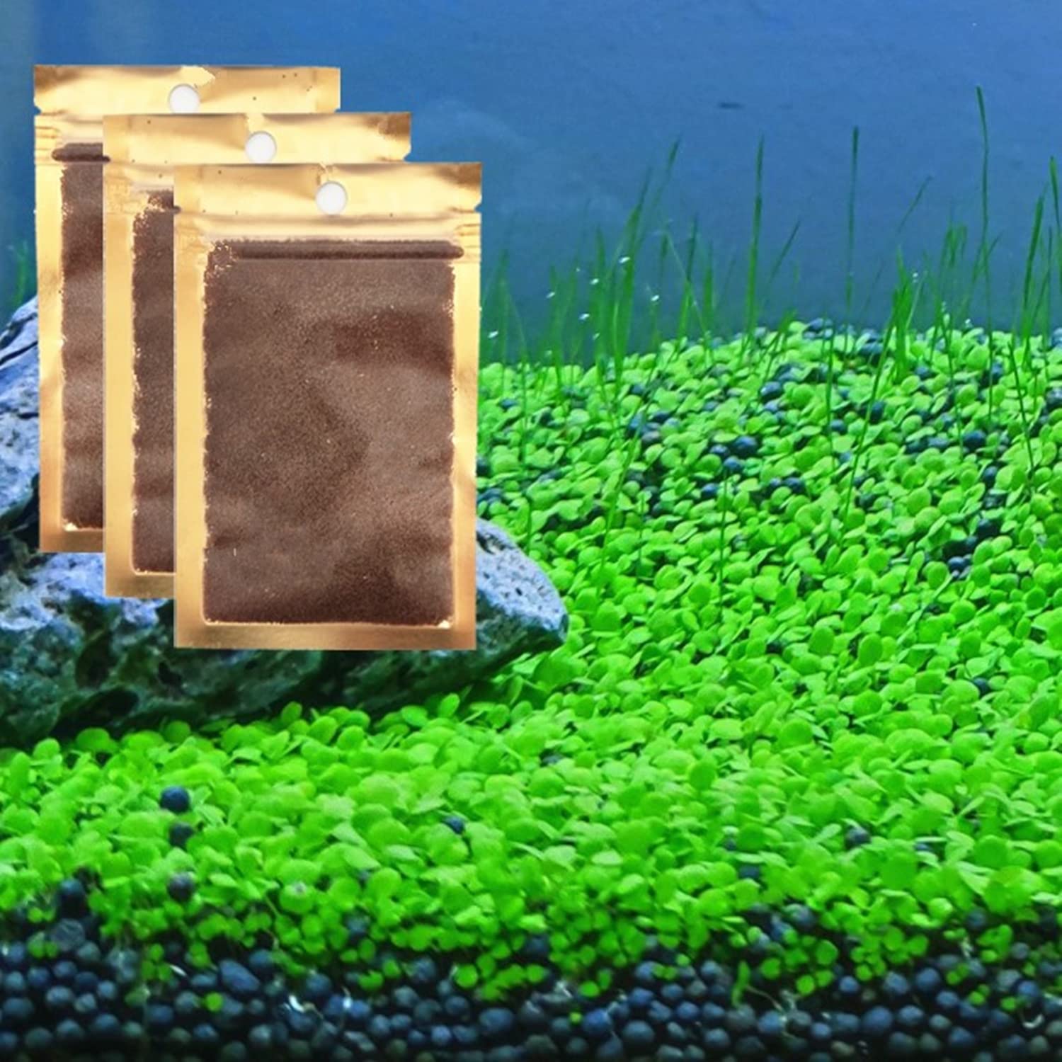 3 Pack Live Aquarium Plant Seeds - Real Grass Carpet for Freshwater Fish Tanks | Natural Underwater Plants for Aquatic Ecosystem | Perfect for Betta Fish, Shrimp & Tropical Fish Habitats