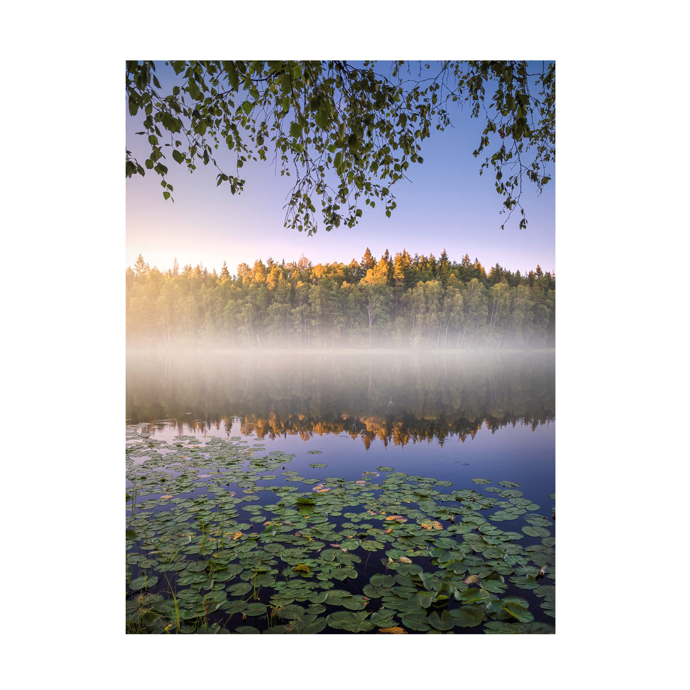 Trademark Fine Art 'Calm Summer Night' Canvas Wall Art Print by Christian Lindsten - Perfect for Living Room, Bedroom & Office Decor