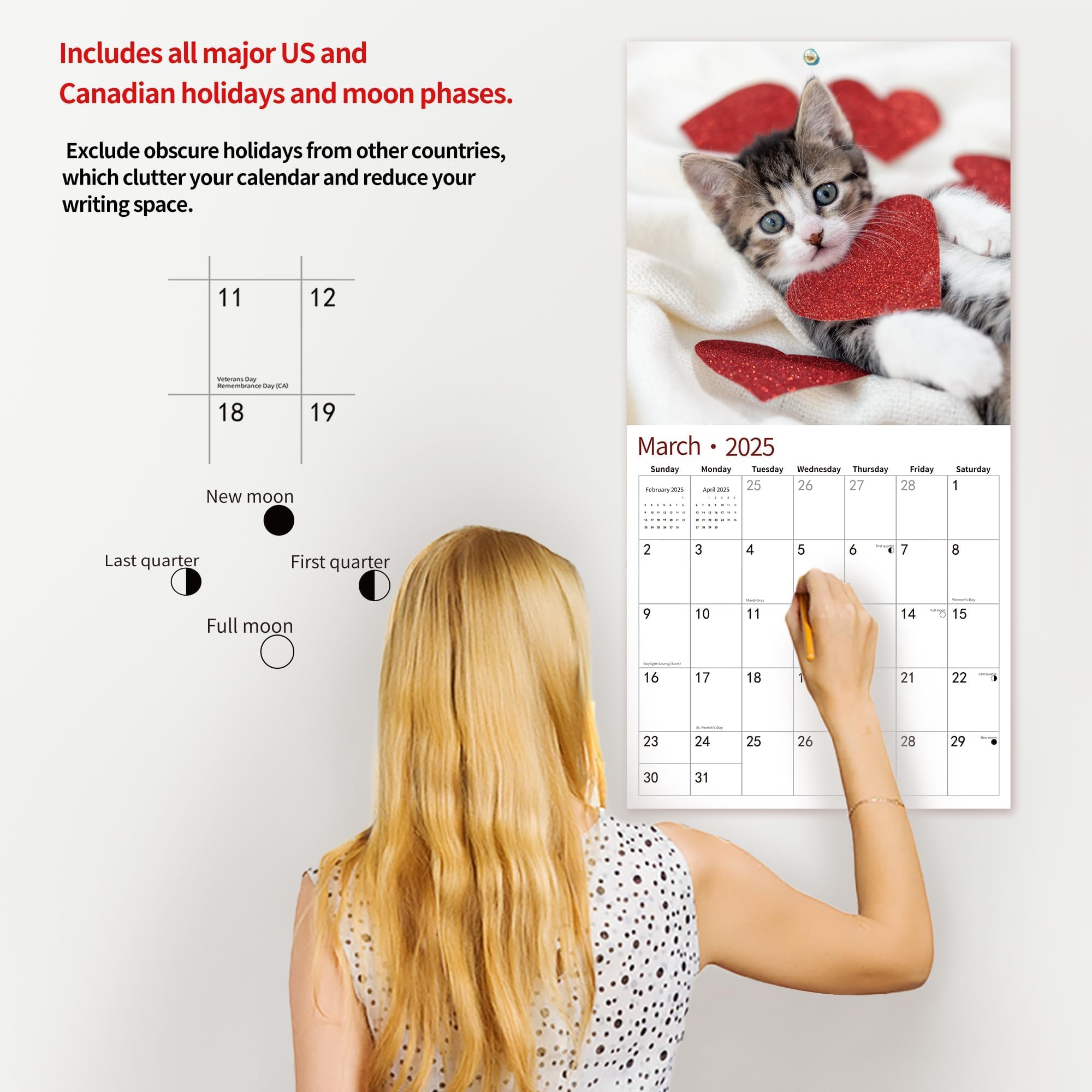 2025 Wall Calendar with Adorable Baby Kittens - January to December 2025 | 12
