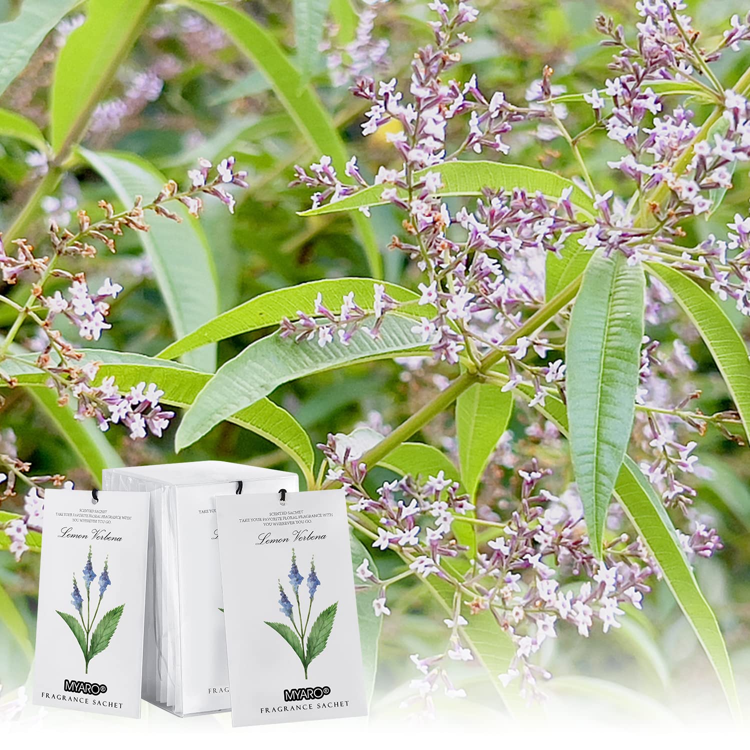 MYARO 12 Pack Lemon Verbena Scented Sachets - Long Lasting Drawer & Closet Freshener, Natural Home Fragrance Potpourri Bags - Perfect for Wardrobes, Dressers, Luggage & Gift Giving
