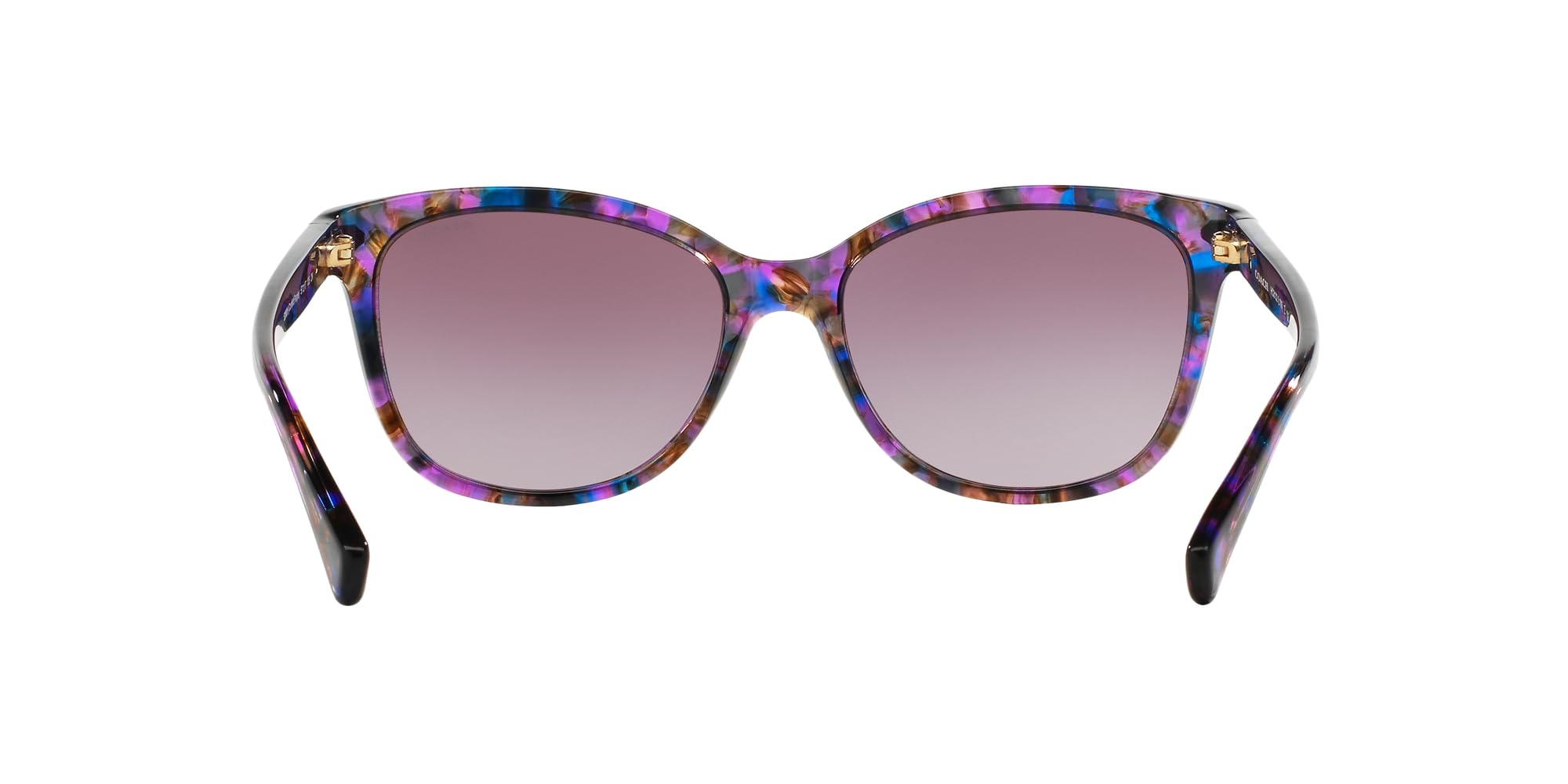 Coach Women's HC8132 Cat Eye Sunglasses – Stylish UV Protection for Fashion & Outdoor Activities
