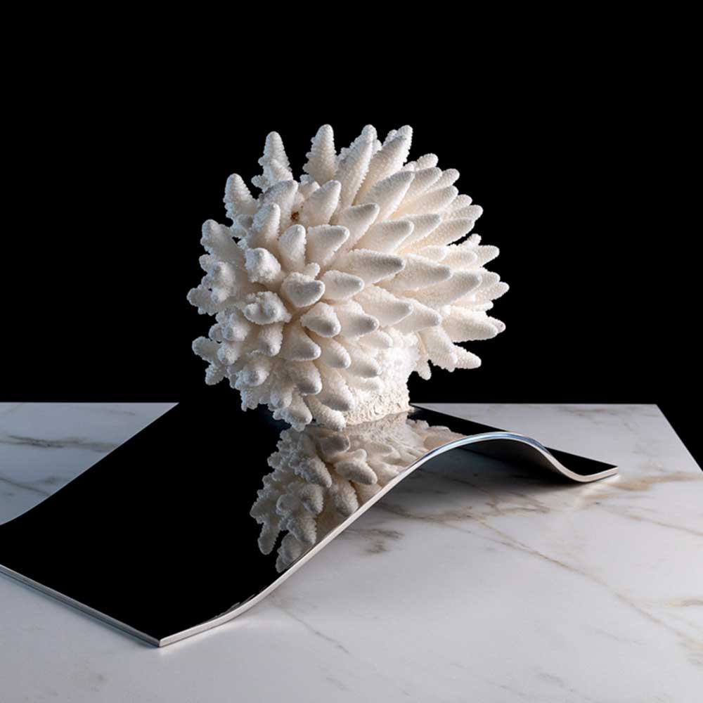 Natural White Finger Coral Decor - Marine Aquarium Ornament for Saltwater Tanks | Perfect for Reef Tanks, Home Aquascaping & Ocean-Themed Decor