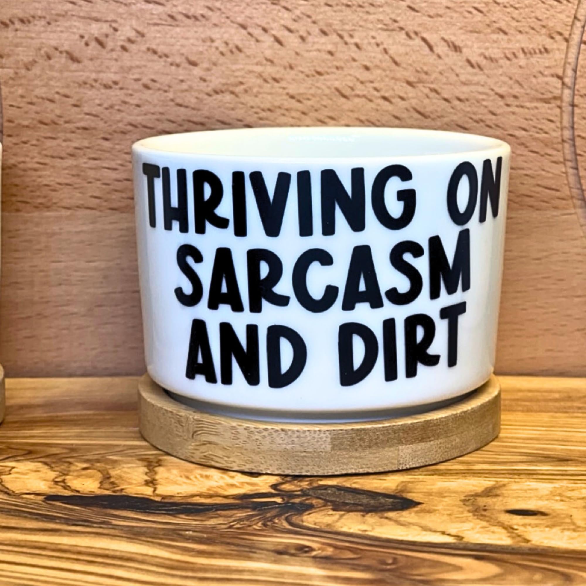 Stylish Ceramic Plant Pots with Inspirational Quotes - Small White Succulent, Cactus & Air Plant Pots - Perfect Unique Gift for Plant Lovers - Ideal for Home Decor, Office Desk & Indoor Gardening